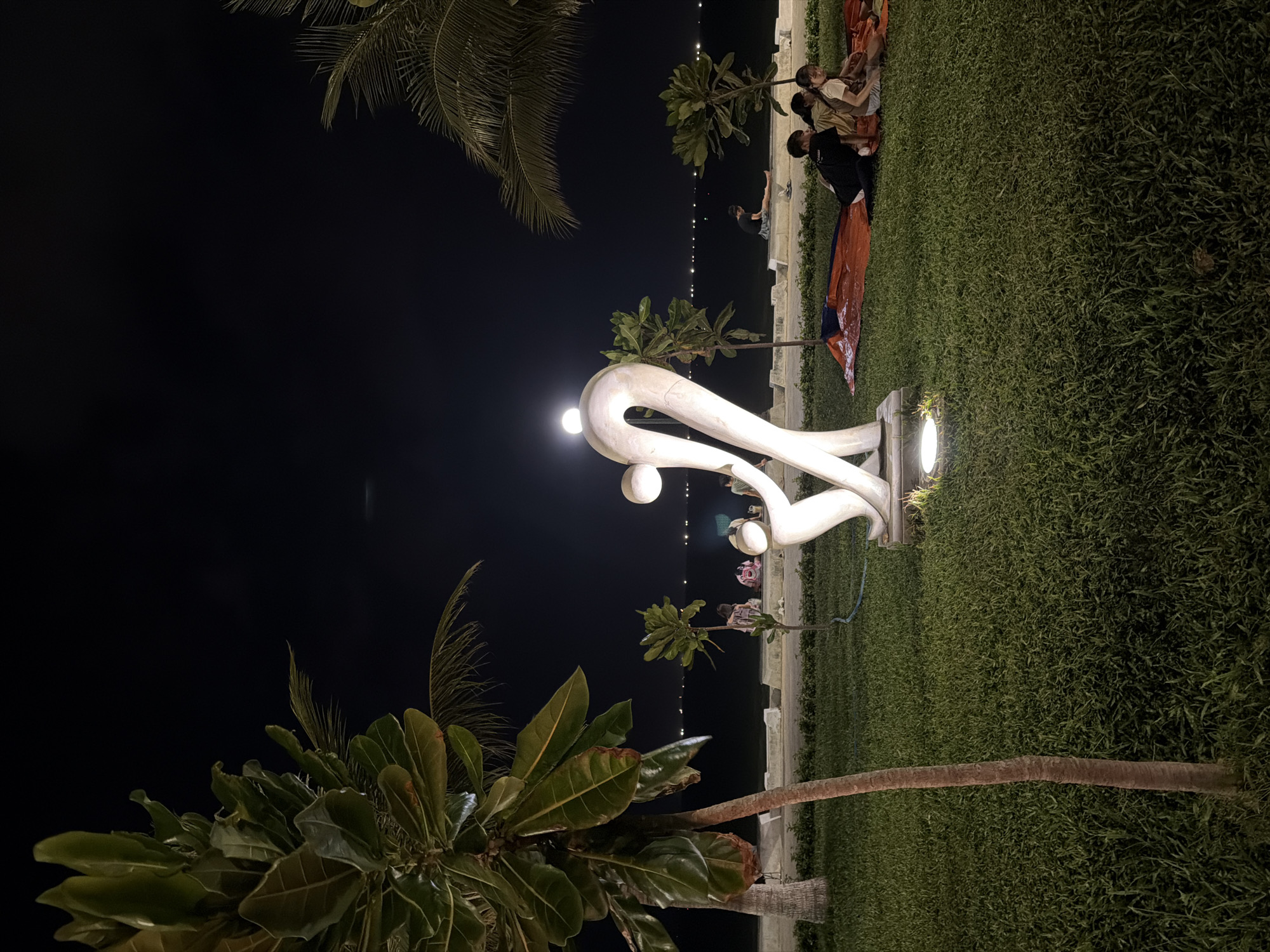 This media file, captured at night in South Quy Nhon Ward, Vietnam, depicts a scenic outdoor setting. The foreground is dominated by a large, abstract white sculpture with smooth, curved lines, illuminated by a spotlight at its base. Adjacent to the sculpture is a well-maintained lawn. In the middle ground, several people are seated on a mat on the grass, some appearing to be engaged in conversation or relaxation. One person is leaning against a low wall. Beyond them, a dimly lit walkway or promenade stretches along the water's edge, marked by a line of small lights. The sea is visible in the distance, reflecting the faint lights. The scene is framed by lush green foliage, including palm fronds and other tropical plants, adding to the serene atmosphere. The overall impression is one of a peaceful evening gathering or outing, possibly a picnic or a moment of repose by the water. The time of day is clearly night, with a dark sky and artificial lighting illuminating the immediate surroundings. There is no visible text in the image.
