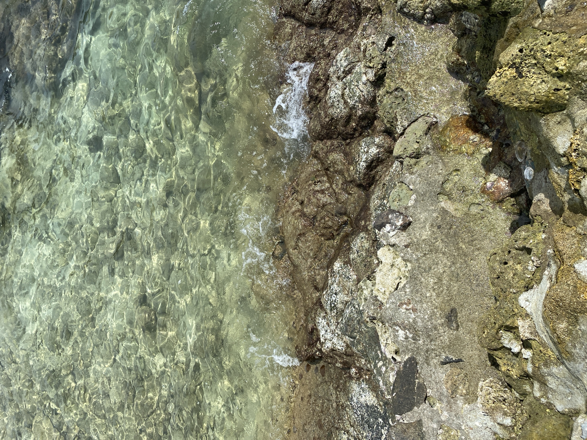 The image displays a section of a rocky coastline with clear, shallow water lapping at the shore. The water is illuminated by sunlight, creating a dappled effect on the submerged rocks. The rocks themselves are varied in color and texture, ranging from dark brown to lighter grays and whites, with some appearing encrusted with marine growth. Small waves are visible breaking against the rocks, creating white foam. The environment suggests a natural, unmanicured beach area. The scene is devoid of any people or man-made objects.