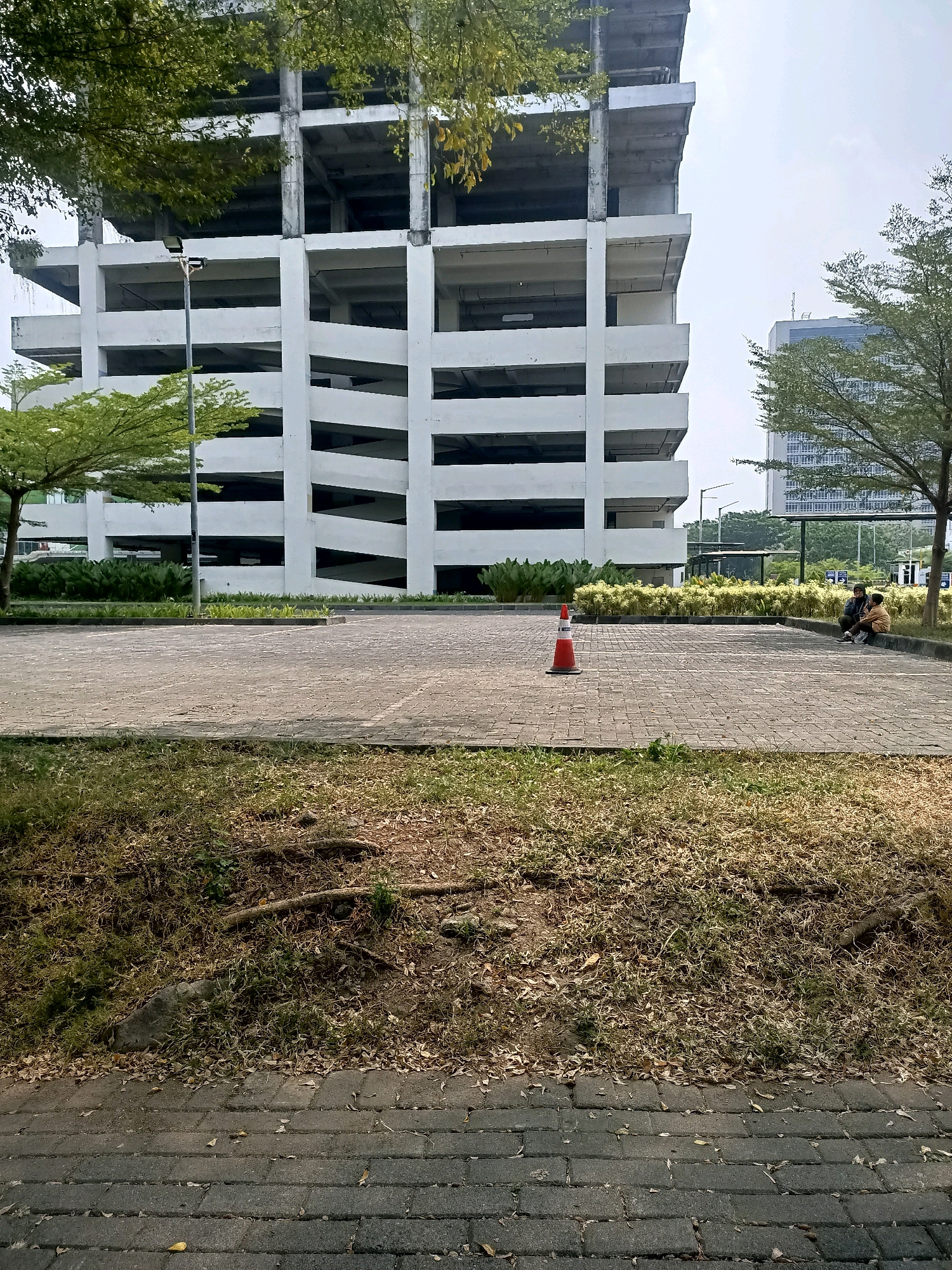In Grogol, Indonesia, an unfinished concrete parking structure stands tall, its floors and ramps exposed to the elements. The structure appears to be under construction, with rebar visible in some sections. In the foreground, a paved parking lot stretches out, marked with white lines. A single orange traffic cone stands in the middle of the lot. To the right, two individuals are seated on a curb, facing away from the camera. Behind them, lush green trees and bushes provide a vibrant contrast to the industrial nature of the parking structure. In the distance, another building, possibly an office tower, looms against the hazy sky. The ground in the immediate foreground is covered in dry grass and fallen leaves, suggesting a warm climate. The scene captures a juxtaposition of urban development and natural elements in the city of Grogol.