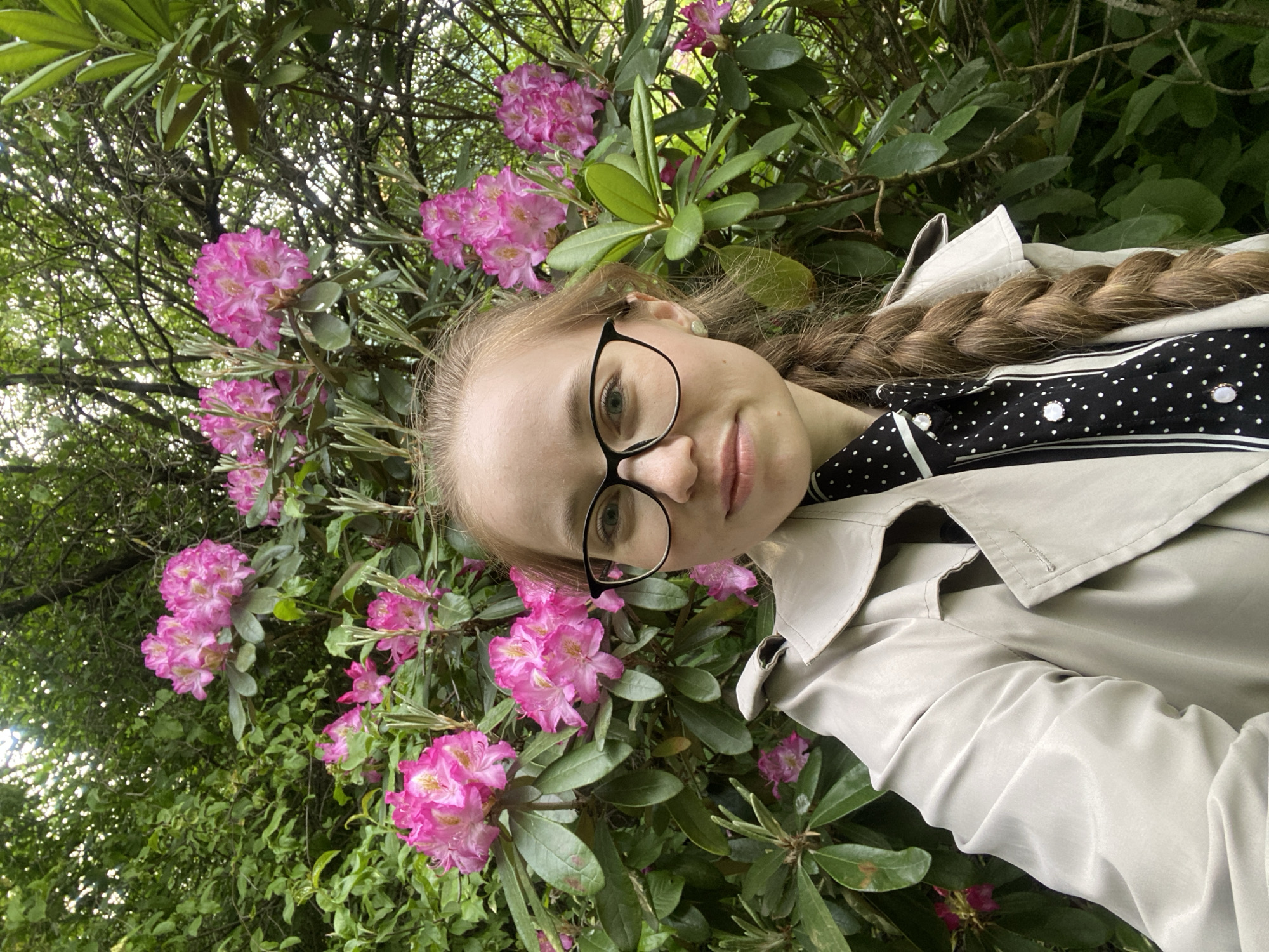 This tilted, eye-level portrait features a young woman posing amidst a vibrant display of pink flowers and lush green foliage. The subject, with light brown hair styled in a long braid, wears black-framed glasses that highlight her light-colored eyes. She has a neutral to slightly pleasant expression, looking directly at the camera. Her attire includes a light beige or light grey trench coat worn over a black top adorned with white polka dots, white striped details, and pearl-like buttons.
The background is densely filled with clusters of bright pink rhododendron flowers and their deep green leaves, indicating a garden, park, or natural setting. The composition is dynamic due to the tilt, suggesting a selfie taken while looking upwards into the flowering bushes. The lighting is soft and diffused, characteristic of an overcast day or shaded area, enhancing the natural colors without harsh shadows. No text is visible in the image. The scene depicts an outdoor moment, likely captured in a park or garden in Saint Petersburg, Russia.