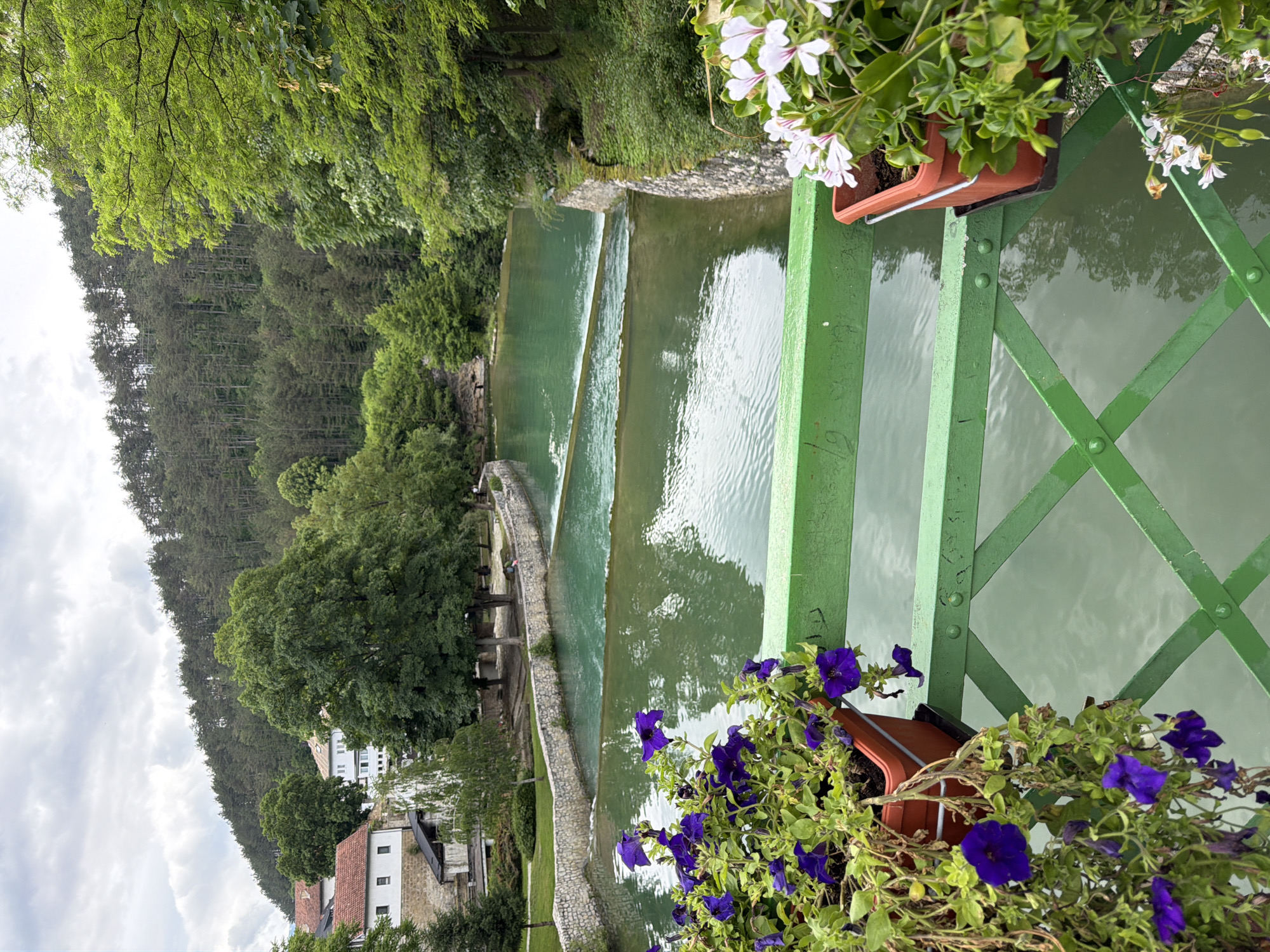 This image captures a picturesque scene in Jajce, Bosnia and Herzegovina, specifically depicting the Pliva River or one of its associated canals with a series of distinct weirs.
In the foreground, a vibrant green metal bridge railing with a geometric criss-cross pattern spans the lower portion of the frame. Attached to this railing are two terracotta-colored flower pots. The pot on the left contains lush green foliage and numerous deep purple petunias, some trailing downwards. The pot on the right holds green foliage with several white and pink geraniums in bloom.
The midground features a calm, turquoise-green body of water, reflecting the overcast sky. Three distinct stone weirs, acting as small dams, traverse the water horizontally, creating gentle cascades and segmenting the waterway into tiered pools. The water surface shows slight ripples, particularly over the weirs. Stone retaining walls line both banks of the waterway.
On the left bank, beyond the stone wall, there is a manicured grassy area dotted with mature deciduous trees, including a large tree with a full canopy. Several small, indistinct human figures are visible on this grassy bank, suggesting a park or recreational area. Further back on the left, nestled against a tree-covered hill, are several buildings with light-colored facades and characteristic red-tiled roofs.
The right bank is densely covered with various trees and undergrowth, forming a thick green barrier that slopes upwards. In the background, rolling hills rise steeply on both sides of the waterway, blanketed with dense coniferous forests under a cloudy, overcast sky. The overall impression is one of natural beauty with man-made structures harmoniously integrated into the landscape.