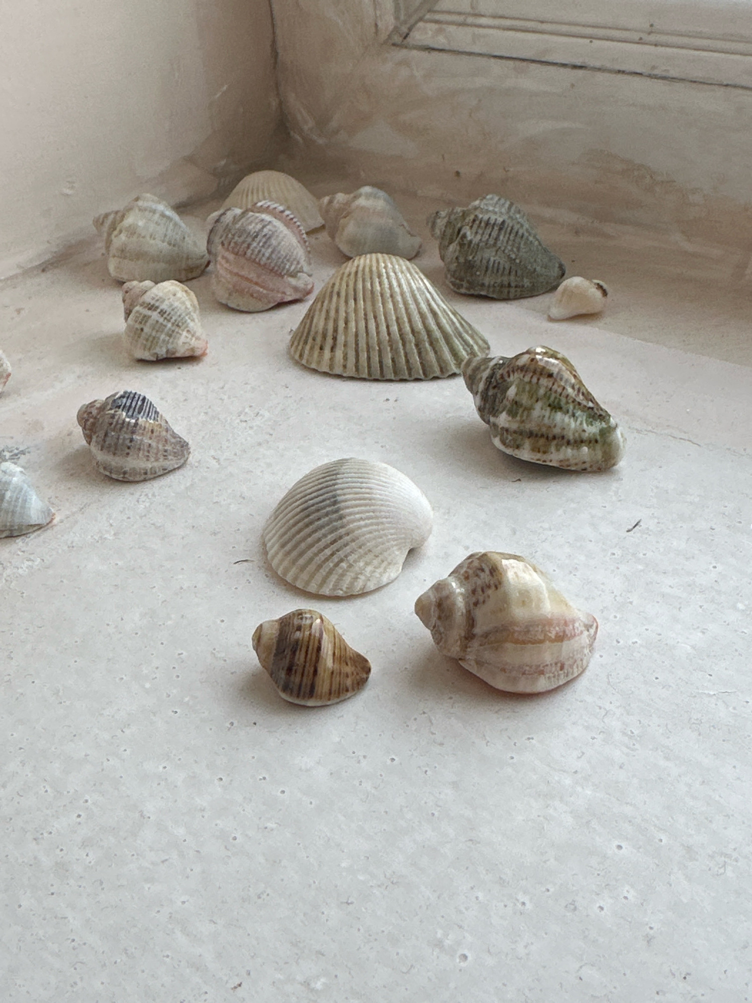 This is an eye-level, medium shot of a collection of seashells scattered across a light-colored, textured surface, likely a windowsill. The seashells are of various shapes and sizes, predominantly in muted tones of white, beige, and brown, with some displaying subtle pink or green striations. In the background, a pale wall meets a slightly darker, horizontal element, possibly a window frame or ledge, creating a soft, diffused light. The scene appears to be indoors, in a quiet and still environment. No people are visible in the image. There is no indication of the city of Gyumri, Armenia, or any specific urban context.