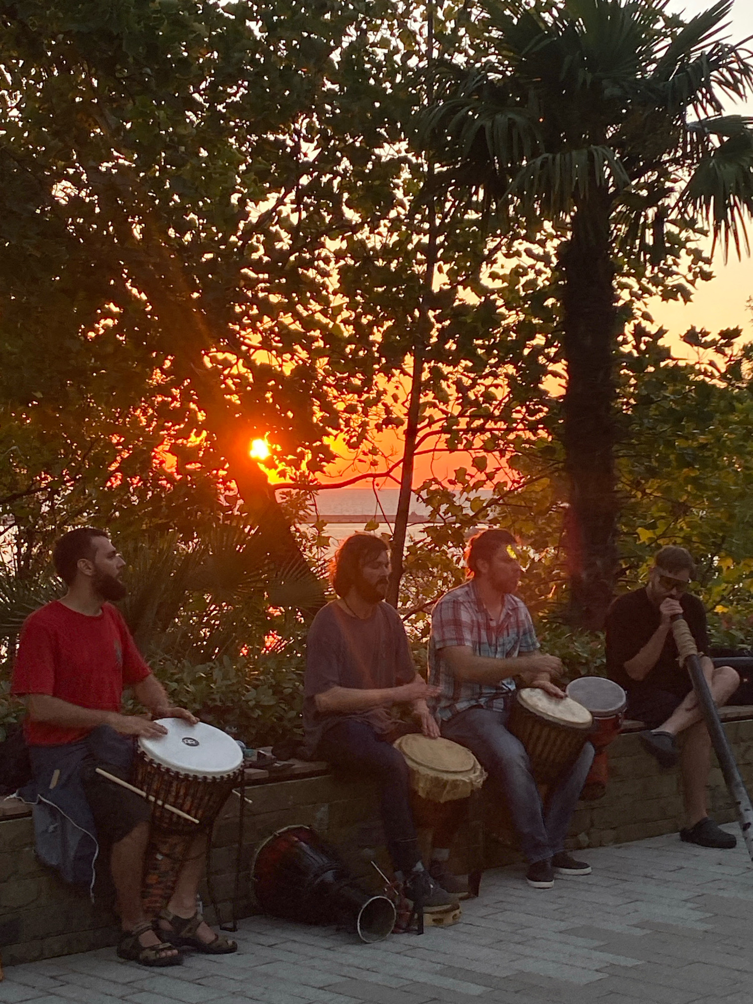 The image depicts a group of four individuals playing percussion instruments outdoors at dusk, with a sunset visible through the trees. The setting appears to be a park or public space in Sochi, Russia, characterized by lush vegetation and palm trees. The people are seated on a low wall or bench, engaged in playing drums and a didgeridoo. The atmosphere is relaxed and communal. The lighting suggests late afternoon or early evening, with the sun casting a warm glow.