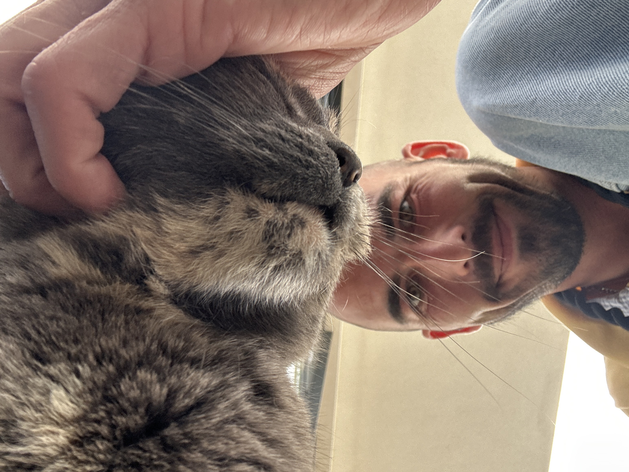 This close-up photograph captures an intimate moment between a person and a cat, viewed from a unique low-angle perspective looking upwards. The image is oriented so that the human's face is broadly horizontal across the lower half of the frame, while the cat's head and a human hand occupy the upper left.
In the foreground, a grey tabby cat is prominently featured in profile, from its head to part of its body. Its fur exhibits a beautiful blend of grey and brown tones, characteristic of tabby markings. The cat's delicate pink nose and numerous long, white whiskers are clearly visible. A human hand, with fingers gently curled, is seen affectionately petting or scratching the cat's head and neck area, indicating a bond of comfort and care. The cat appears relaxed, with its eyes mostly closed or looking downwards, seemingly content with the attention.
Below the cat and hand, a person's face is visible, looking directly towards the camera with a gentle, contented smile. The person, likely male, has short dark hair, a neatly trimmed beard, and discernible eyes. They are wearing a light blue denim garment, possibly a jacket or shirt.
The background is softly out of focus, showing a plain, light-colored surface, which could be an interior wall or a shaded area outdoors. A bright light source is evident on the right side of the frame, suggesting it is daytime. The overall mood conveyed by the image is one of warmth, affection, and tranquility. There is no visible text. This tender scene takes place in Budva, Montenegro.