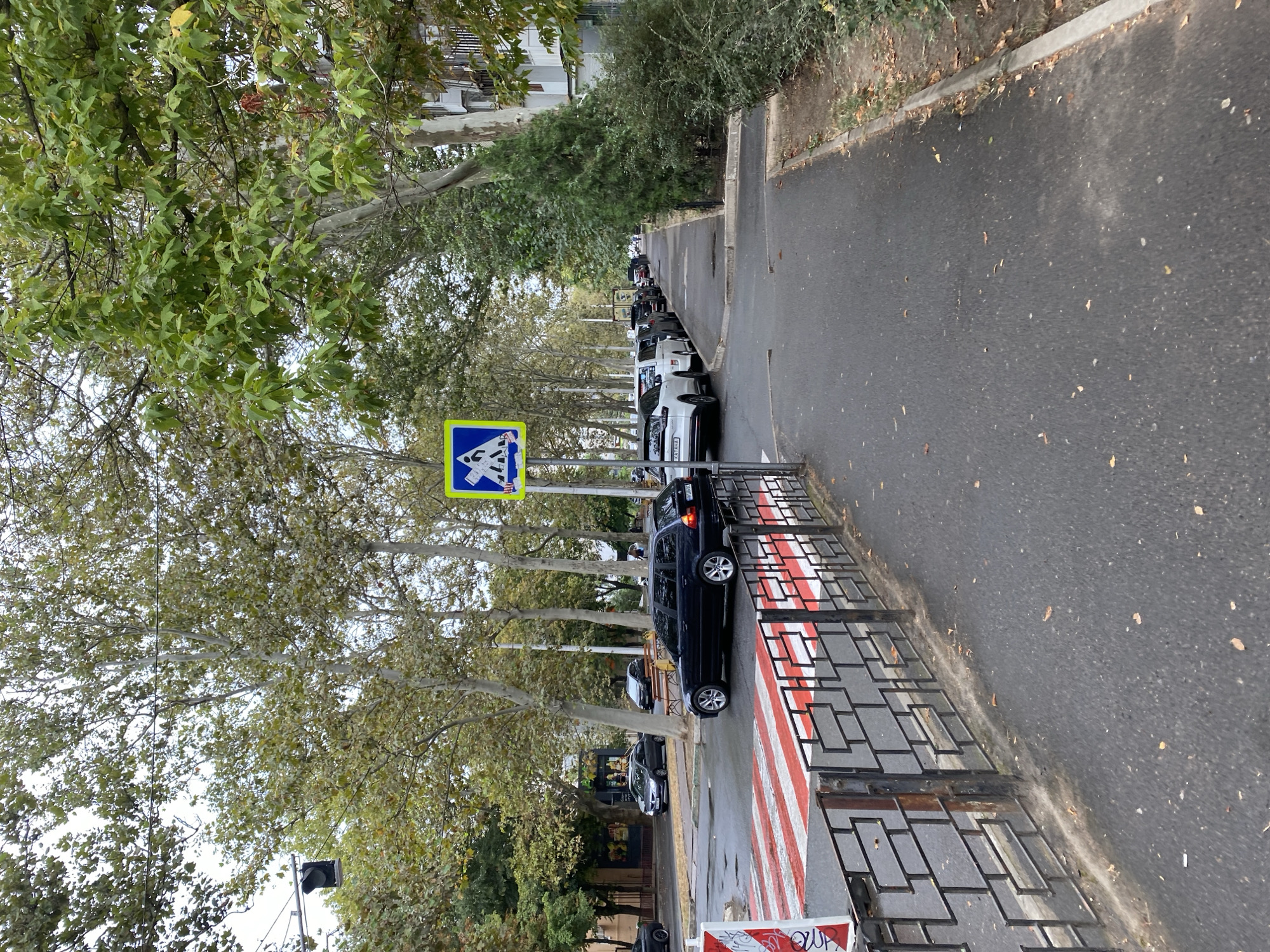 The image depicts a street scene in Chornomorsk, Ukraine, likely during daytime. A pedestrian crossing with red and white stripes is visible on the left, bordered by a black metal fence. A dark-colored station wagon is stopped at the crossing. To the right of the crossing, a sidewalk runs parallel to the street, lined with parked cars. A blue pedestrian crossing sign with figures of people is posted on a pole near the sidewalk. Tall trees with green and yellowing leaves are abundant, creating a canopy over the street and sidewalk. The sky is overcast. The street is paved with asphalt, and fallen leaves are scattered on the ground. Buildings are visible in the background.