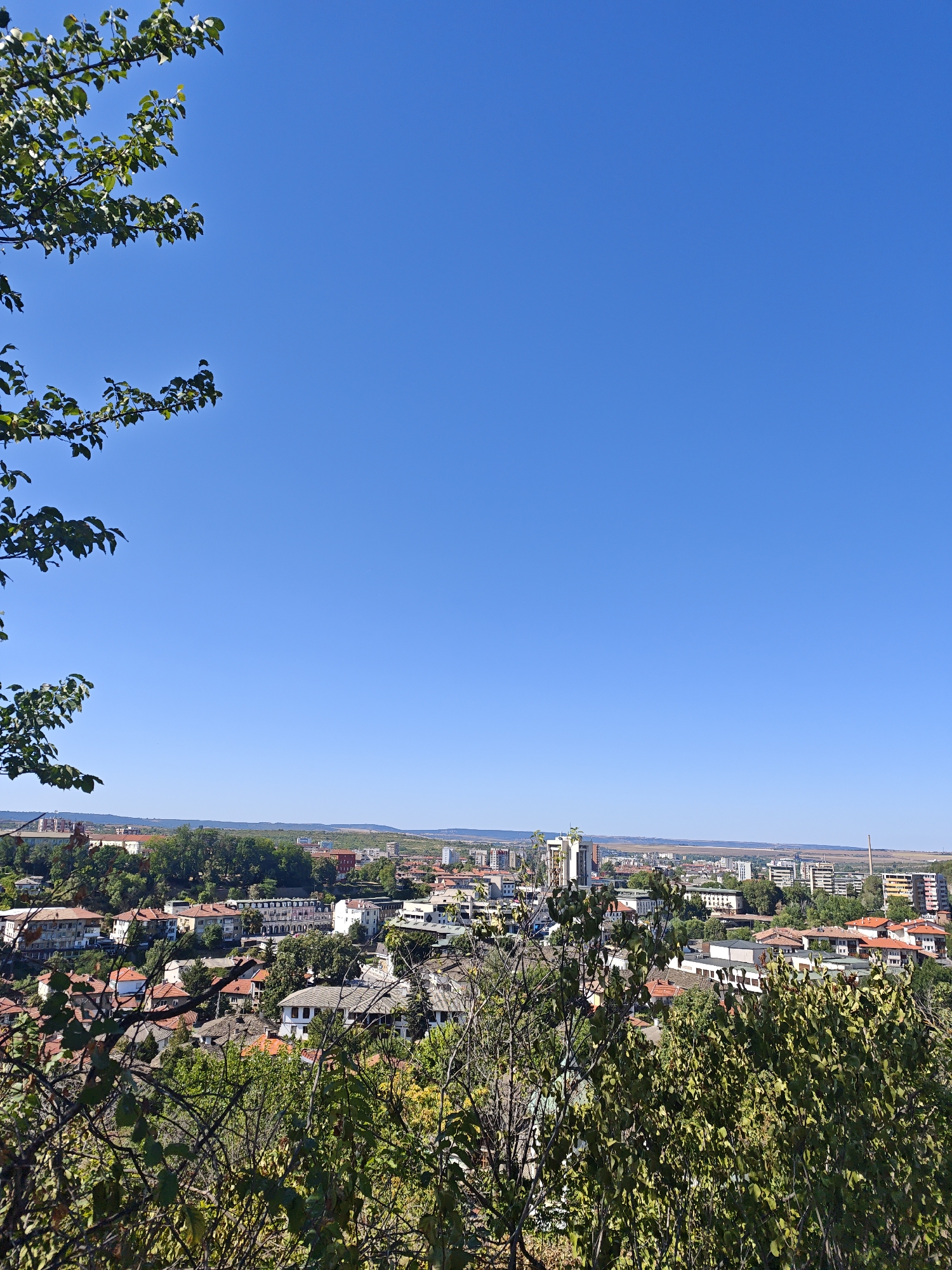An elevated, wide-angle, eye-level shot captures a panoramic view of Lovech, Bulgaria on a clear, sunny day. The foreground is dominated by the lush, green foliage of trees and branches, some with visible leaves, obscuring parts of the cityscape. The middle ground reveals a densely packed urban landscape characterized by a mix of residential and commercial buildings. Architectural styles vary, with some structures featuring red-tiled roofs, while others are modern high-rises with light-colored facades. A few taller buildings, including what appears to be a multi-story hotel or office complex, stand out against the skyline. The background showcases rolling hills and a distant, hazy horizon line, indicating the city's natural setting. The sky is a vibrant, cloudless blue. There are no people visible in the image.