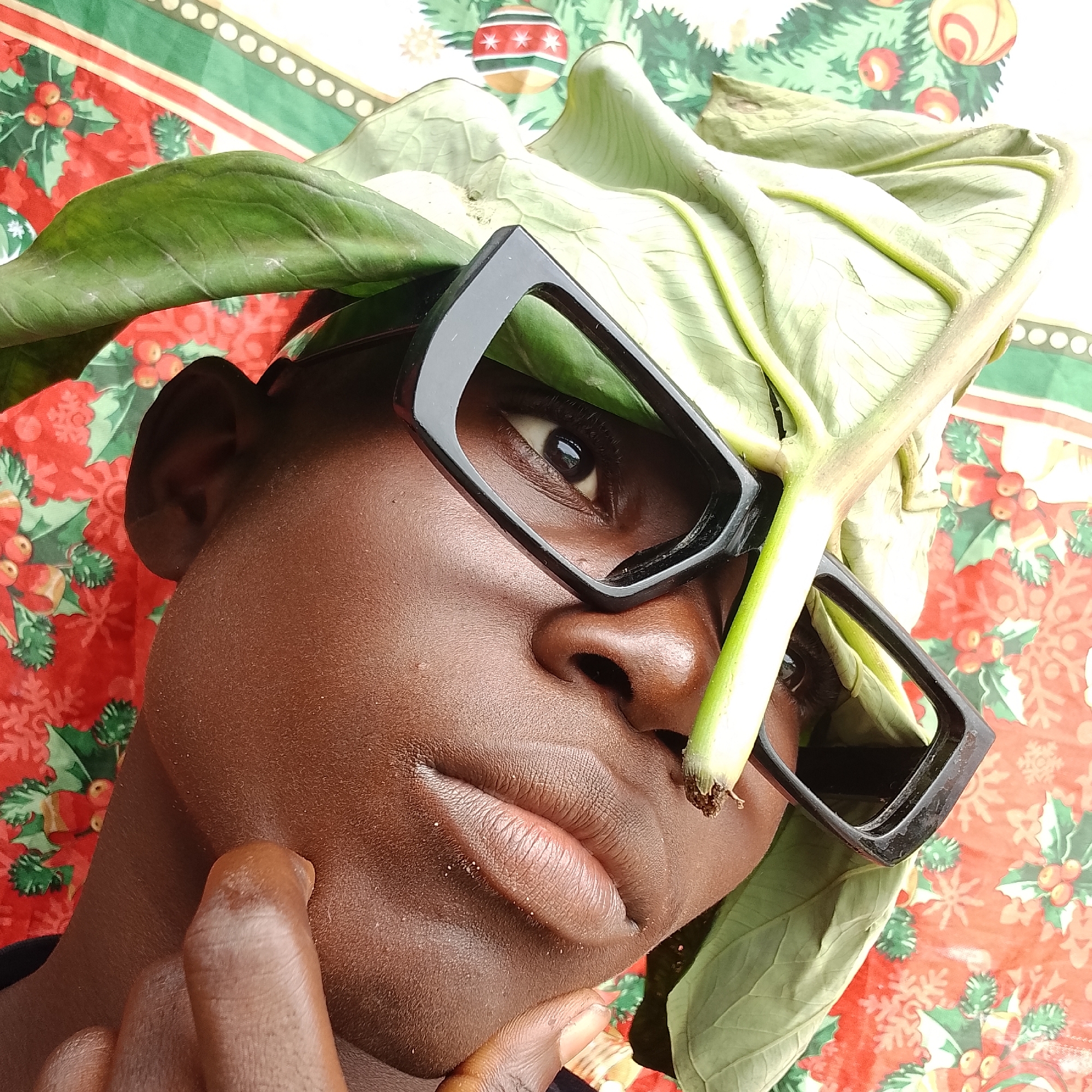 A close-up, low-angle shot captures a person's face and upper body from the chest up, wearing large, black, angular-rimmed glasses. The person has dark skin and appears to be resting their chin on their left hand, with the thumb extended towards their cheek. A large, light green leaf is draped over their head and rests on the glasses, obscuring part of their forehead and the top of the glasses' frame. The background features a vibrant red cloth adorned with a repeating pattern of green holly leaves, red berries, and white snowflakes, suggestive of a holiday theme. The lighting is even and appears to be natural, highlighting the textures of the skin and the leaf. The overall impression is a creative and somewhat whimsical self-portrait. This scene is likely taking place indoors in Ado, Nigeria, given the context provided.