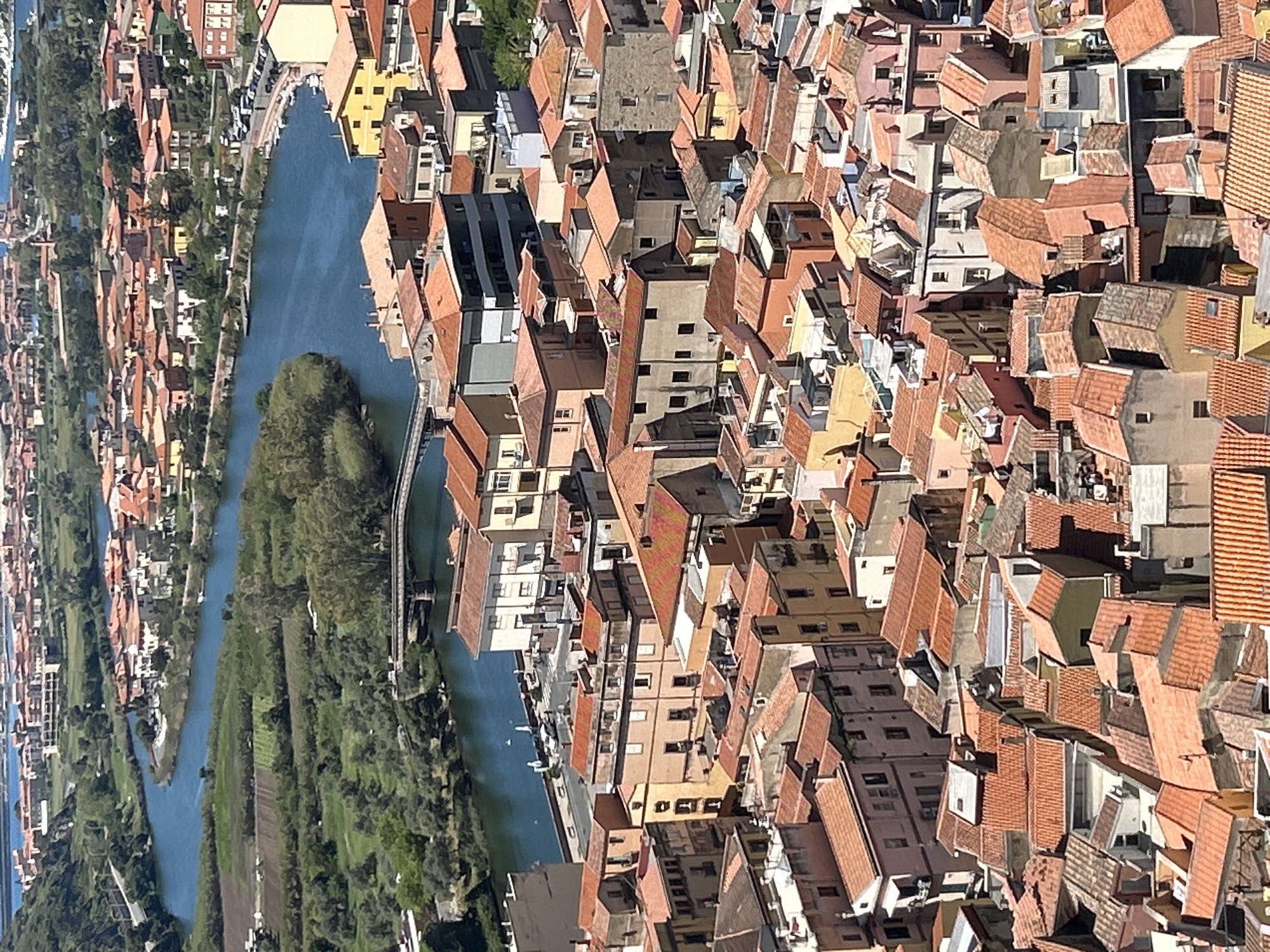 The image presents an aerial view of Bosa, Italy, a city on the island of Sardinia, characterized by a river winding through the landscape. The scene is dominated by dense, clustered buildings featuring predominantly orange and brown tile roofs, indicative of the region's architectural style. These structures are closely packed together, showcasing a compact urban layout. A river, likely the Temo, flows alongside the city, bordered by lush green vegetation and trees. The riverbank features a mix of natural and cultivated areas, including fields and scattered structures. A bridge spans the river, connecting different parts of the city or leading to the adjacent countryside. There are no people evident in the scene, focusing on the built environment and natural surroundings.