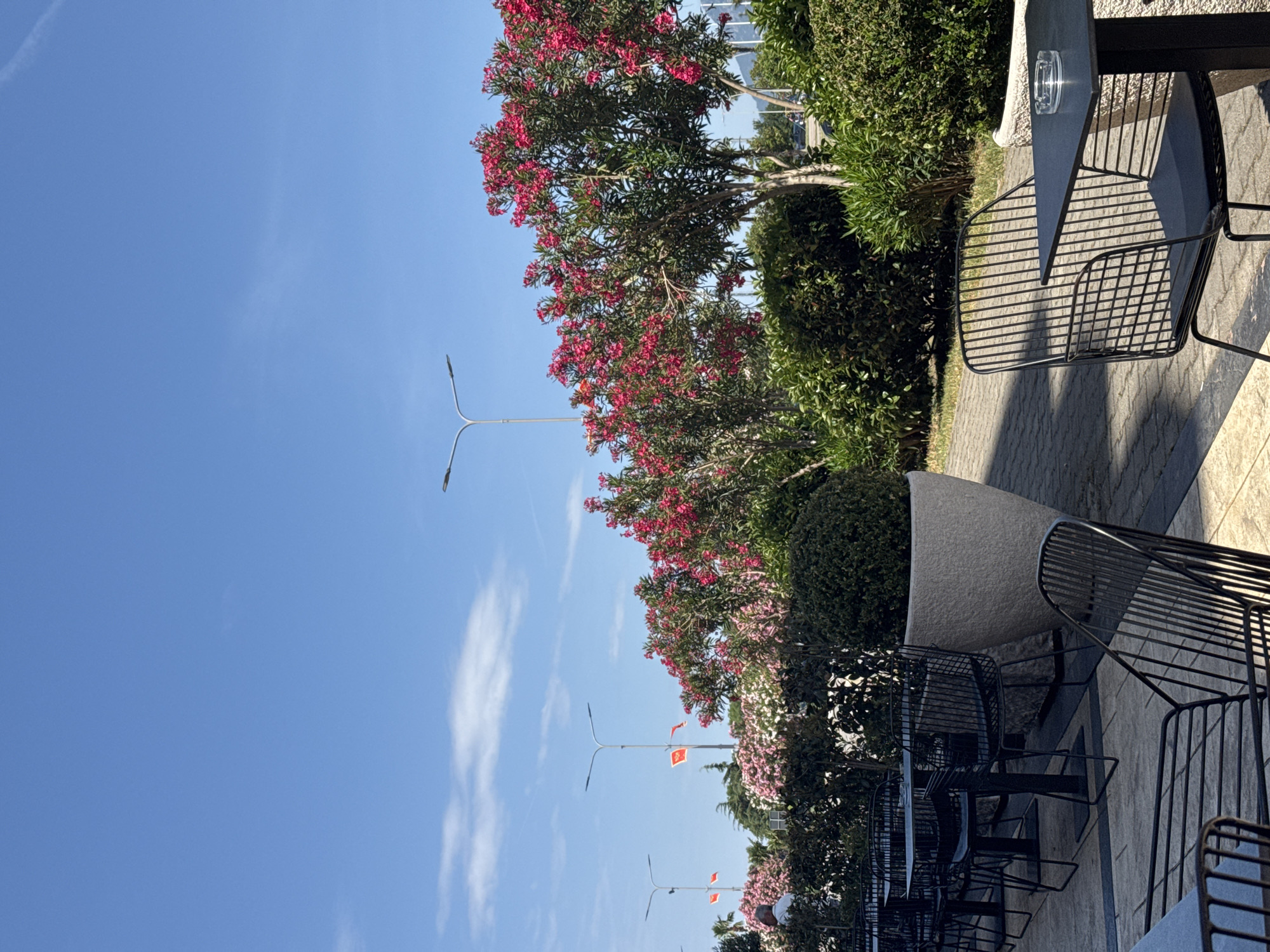 Outdoor cafe seating in Šušanj, Montenegro. Black metal chairs and tables are arranged on a stone-paved area alongside flowering trees and bushes. A blue sky with some clouds is visible above. Streetlights are also present. No people are visible.