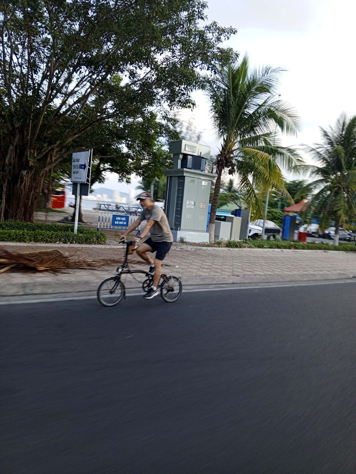 A man is riding a bicycle on a street in Bac Nha Trang Ward, Vietnam. He is wearing a light brown t-shirt, dark shorts, a baseball cap, and sneakers. The bicycle is black and appears to be a folding bike with small wheels. The man is in motion, and the image has a sense of movement blur.
The scene is a coastal road with palm trees and a large tree with aerial roots on the left side. Behind the man, there is a sidewalk with some foliage and a sign. The sign is white with blue text, and appears to have Vietnamese writing, with one part readable as "THAP BA". Further in the background, there are buildings and a body of water, possibly the sea, with a distant city skyline. There are also some blue and white barriers. The sky is overcast, suggesting it might be daytime, perhaps late afternoon or early morning. The overall impression is a casual ride in a scenic, tropical location.