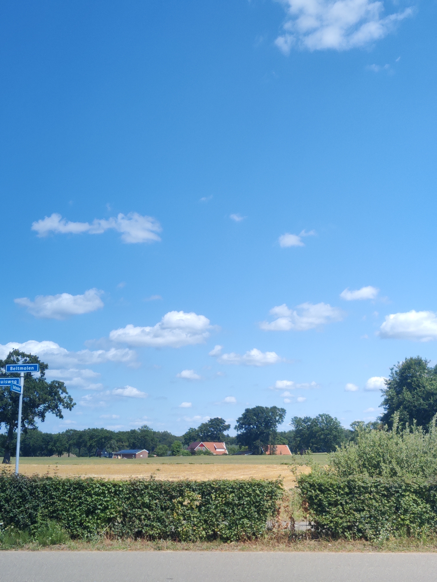 The image depicts a rural landscape in the city of Winterswijk, Netherlands, under a bright blue sky dotted with scattered white clouds. In the foreground, a section of a paved road is visible at the bottom, bordering a dense, green hedge. Behind the hedge, a field of dry, golden crops stretches across the middle ground. Further back, several rural buildings with red-tiled roofs are nestled amongst a line of trees. A blue street sign with white lettering, reading "Beltmolen" and "Luinsweg," is mounted on a pole to the left of the frame, indicating the location. The overall scene is peaceful and rural, with no people or animals present.