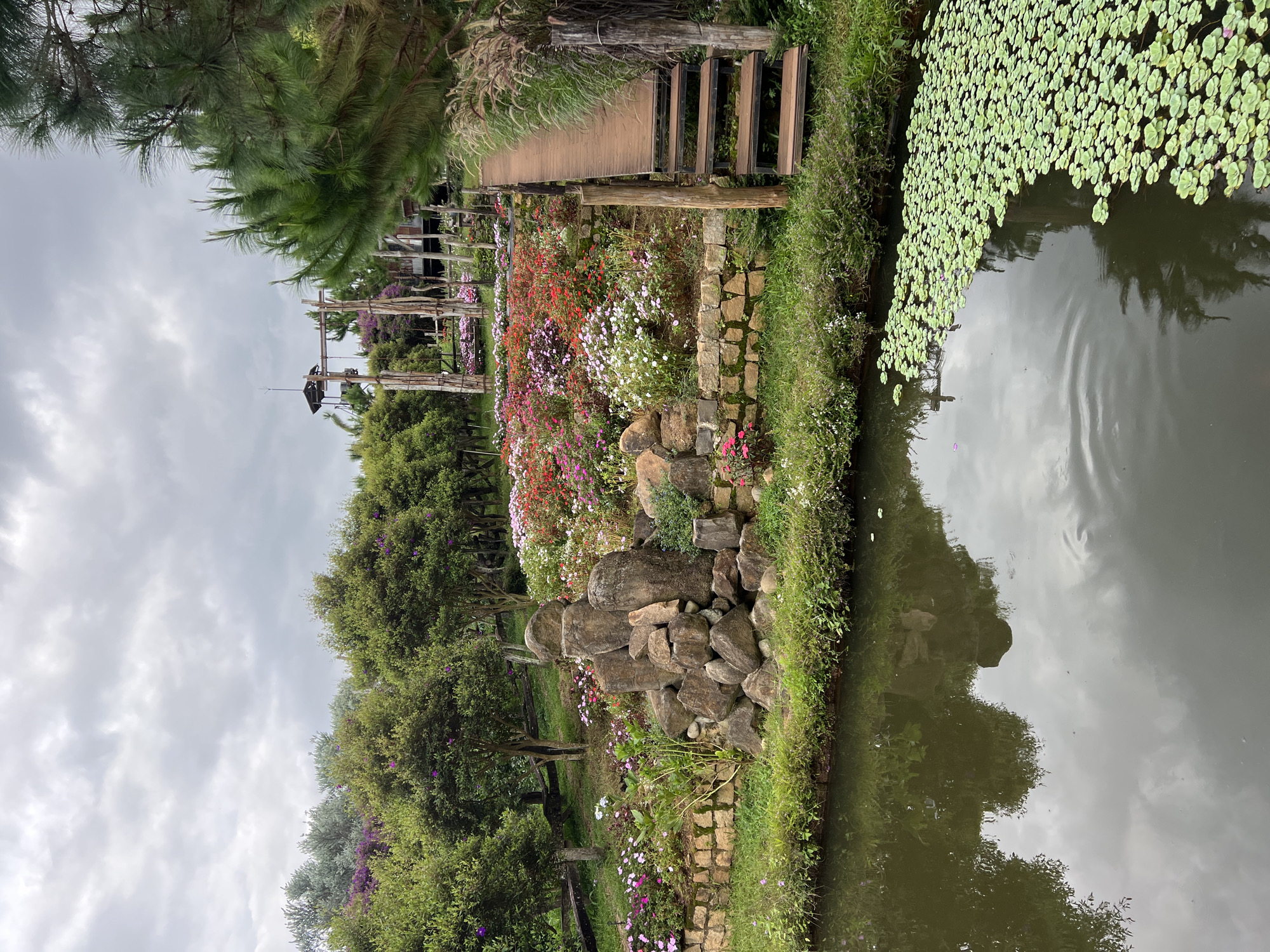 The image depicts a serene outdoor scene with a focus on a decorative garden and a tranquil pond. In the foreground, a dark, reflective pond occupies the lower portion of the frame. A dense cluster of bright green aquatic plants, possibly water lettuce, floats on the surface of the water to the right. The pond is bordered by a grassy embankment topped with a low stone wall.
Behind the wall, a vibrant flowerbed bursts with a variety of colorful blossoms in shades of pink, red, white, and purple. A prominent rock formation, composed of large, irregularly shaped stones, stands to the left of the flowerbed, adding a natural, rugged element to the landscaping. Beyond the flowerbed, a tiered wooden walkway with stairs ascends along the right side of the image, leading towards higher ground.
The background is characterized by lush greenery, with numerous trees featuring dense foliage. In the distance, structures are visible, including what appears to be a wooden observation tower or elevated platform with a sloped roof, and further structures with darker roofing. The sky above is overcast with a blanket of grey clouds. The overall impression is that of a well-maintained garden or park, likely in a natural setting. This scene is located in Thôn 5, Vietnam.