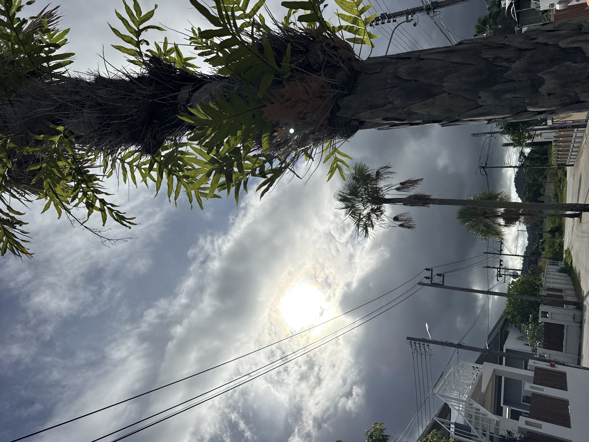This image depicts a street scene in Thep Krasatti, Thailand, under a cloudy sky with the sun partially obscured. In the foreground, a large palm tree trunk covered in moss and epiphytic plants dominates the right side of the frame. Several electrical wires crisscross the sky. In the middle ground, two smaller palm trees are visible, along with a residential street lined with white fences and houses. A white staircase is attached to the side of one of the houses on the left. In the background, hills and more vegetation can be seen under the stormy-looking clouds. The lighting suggests it might be late afternoon or early morning, with the sun creating a bright halo.