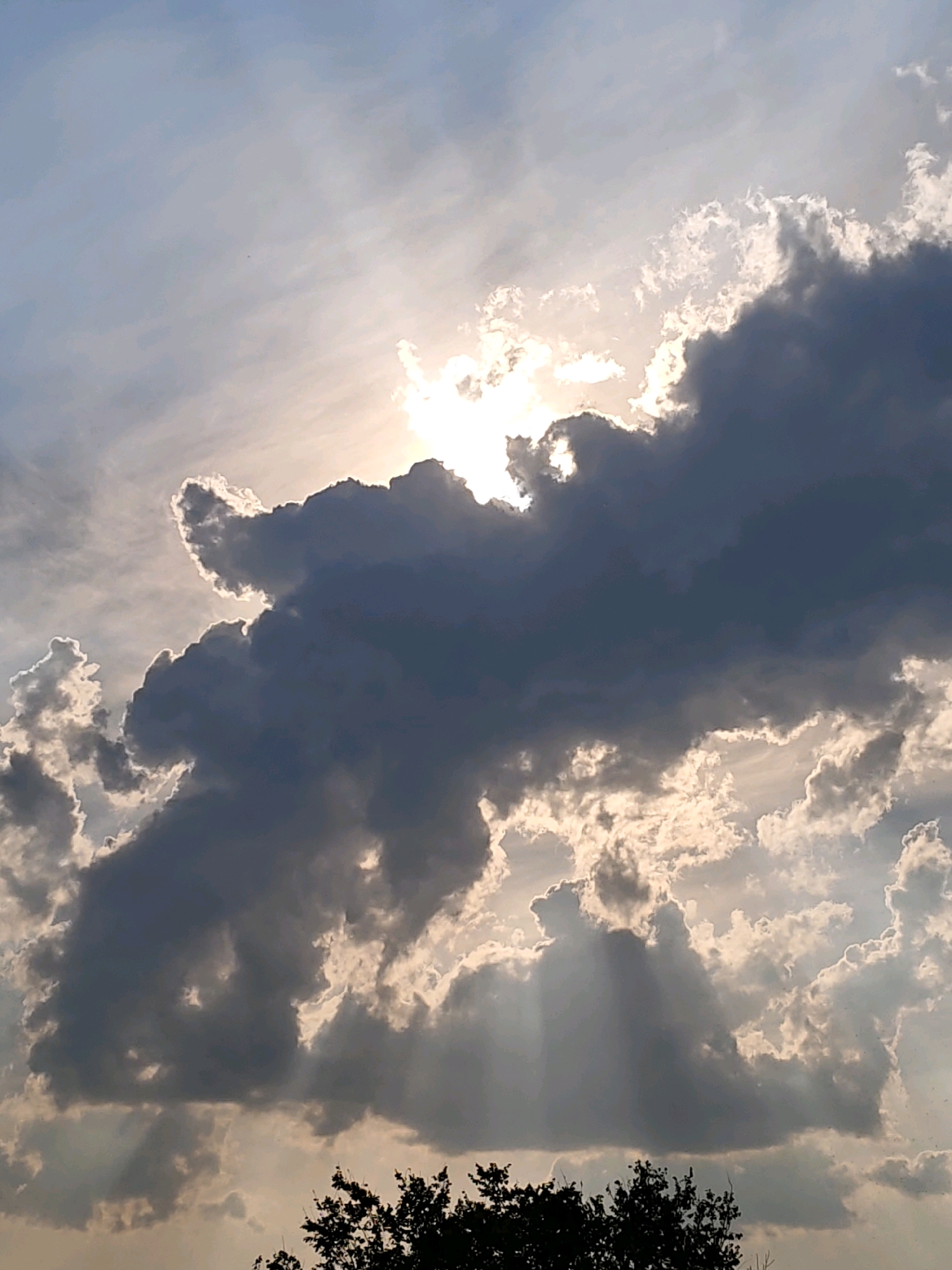 The image displays a dramatic sky filled with dark, imposing clouds and bright, sunlit areas. The sun is partially obscured by a large, dark cloud, with rays of light breaking through and creating crepuscular rays. The lower portion of the image shows the dark silhouette of tree branches against the illuminated sky. The scene is not identifiable as being in Rostov-on-Don, Russia, as there are no distinguishing landmarks or features.