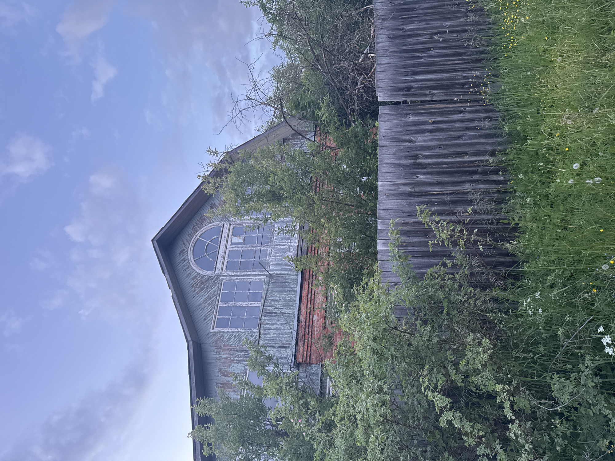 The image captures an old, weathered building partially obscured by lush vegetation under a light blue sky with scattered clouds. The main subject is an aged structure, likely a house or barn, featuring a prominent arched window with multiple panes on its upper level, and rectangular windows below. Its exterior is clad in peeling blue-grey paint, revealing sections of red brick beneath.
Dense green bushes and trees heavily surround the building, with some branches extending over its roofline and windows, suggesting long-term neglect. To the right, a tall, vertical wooden fence or wall, made of dark, weathered planks, divides the scene from an overgrown patch of wild grass dotted with small yellow and white wildflowers.
The soft, diffused lighting indicates either early morning or late afternoon. No activity or people are present, emphasizing a sense of stillness and abandonment. The scene evokes feelings of rustic decay and nature's persistent reclamation, consistent with an older, perhaps forgotten, area in Shcherbinka, Russia. No visible text is present.
