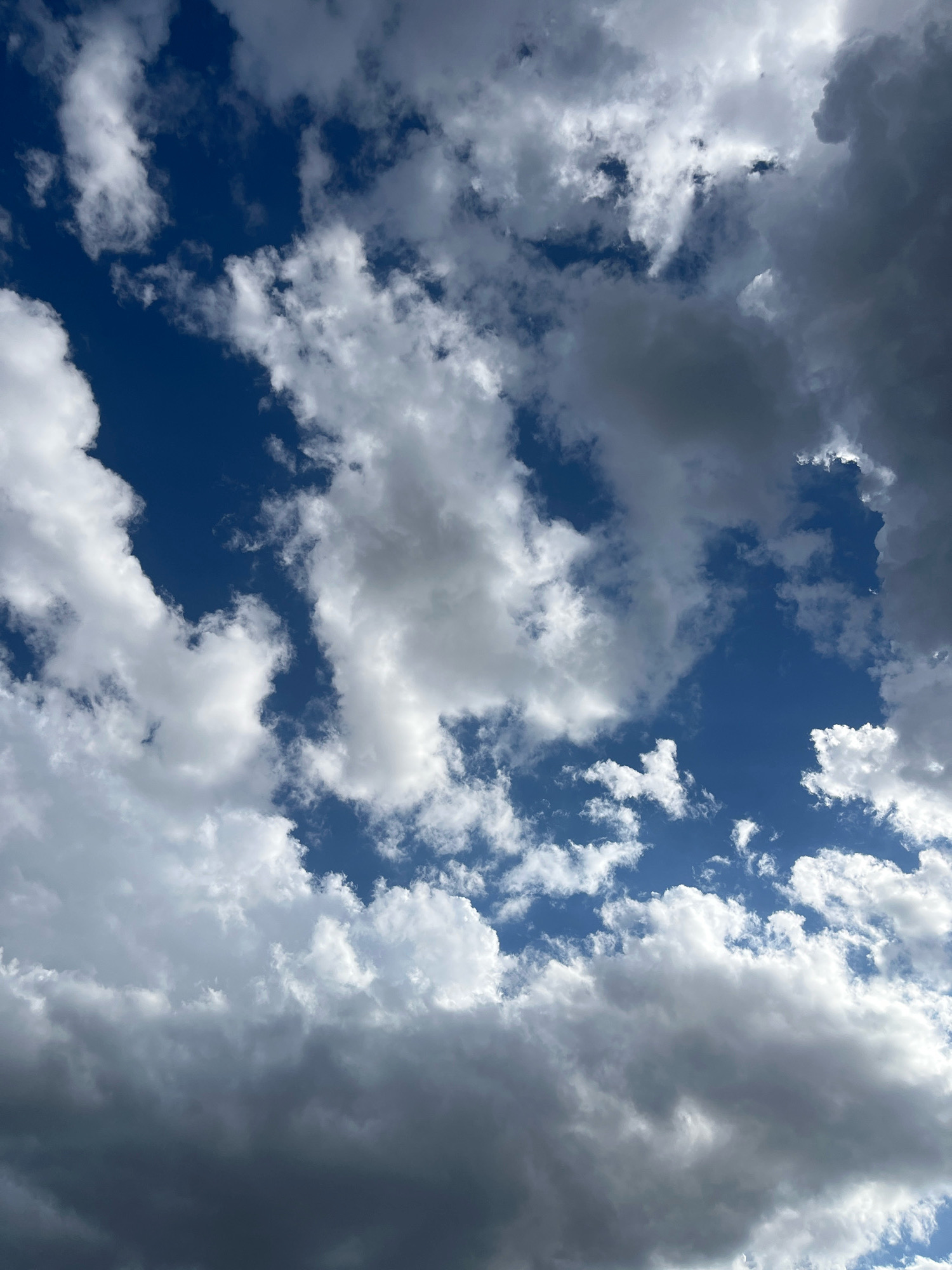 The image shows a dynamic sky filled with a mixture of white and dark gray clouds against a deep blue sky. The clouds are varied in form, with some appearing fluffy and bright, catching the sunlight, while others are dense and shadowed, suggesting approaching weather. The lighting indicates it is daytime, with the sun likely partially obscured by the clouds, creating a dramatic contrast. There are no visible structures, people, or objects in the frame, focusing solely on the atmospheric conditions. This scene could be observed from anywhere, including the commune of Chambœuf, France, as it is a natural sky formation.
