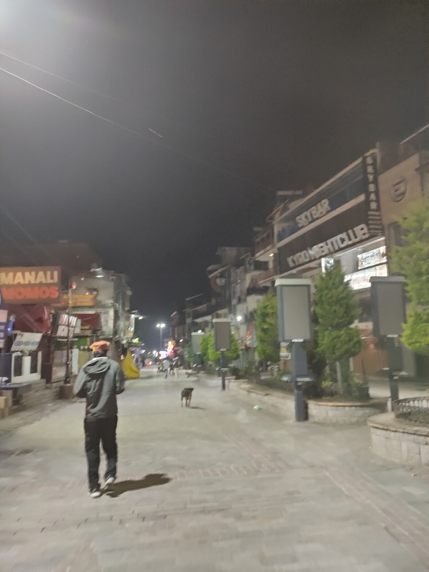 An image taken at night on a paved street in Manali, India, depicts a person walking away from the camera towards a dimly lit urban environment. The person, wearing a dark hooded jacket and black pants, is walking on a cobblestone-like pathway. To the left of the street, a neon sign reads "MANALI MOMOS" in orange and white lettering. Further down the street, a building displays "SKYBAR" and "KYRO NIGHTCLUB" on its facade. Other buildings, streetlights, and trees are visible along the street. A dog is seen in the middle of the street, ahead of the person. The sky is dark, indicating nighttime.