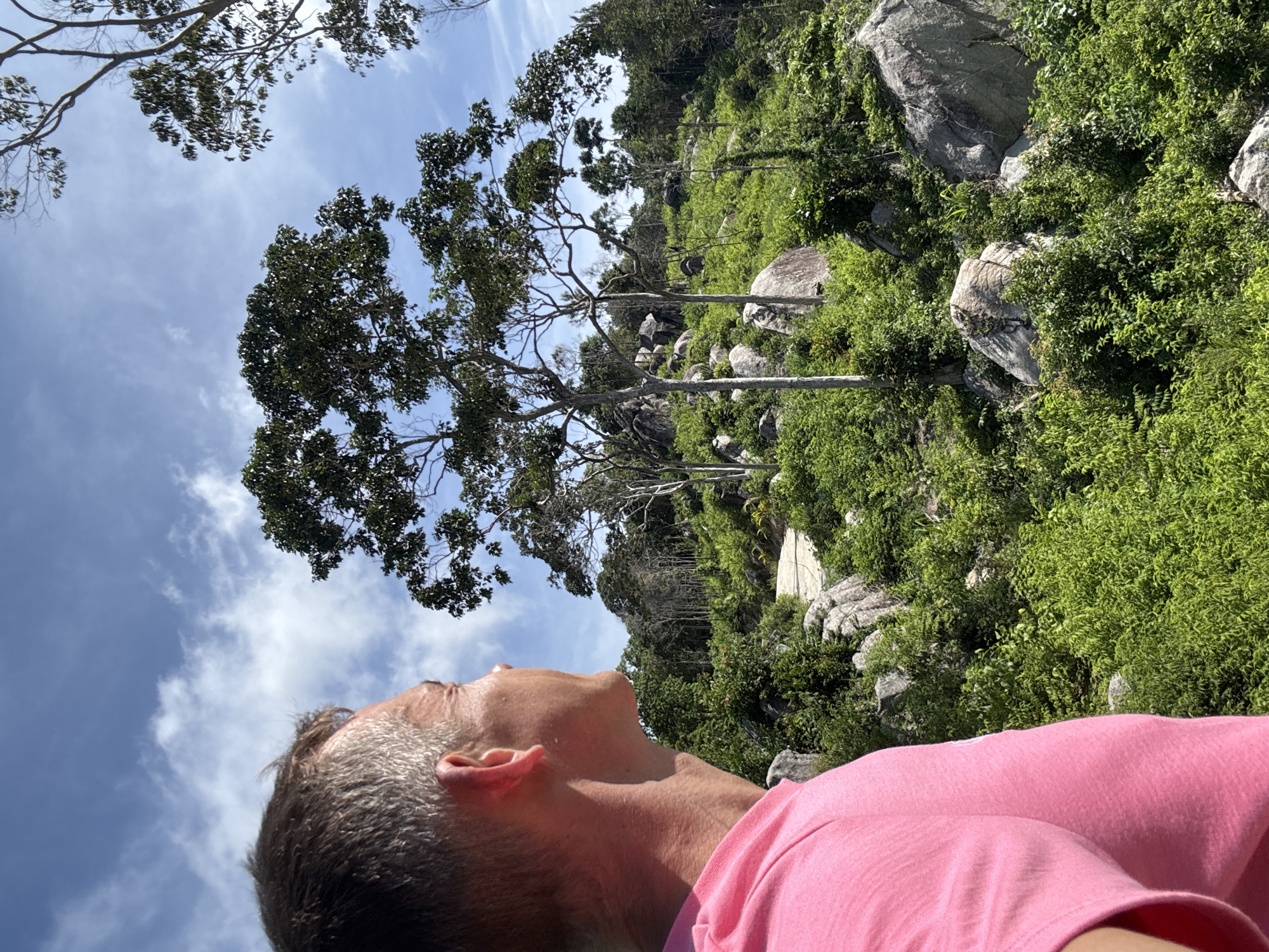 A man wearing a pink t-shirt is viewed from the shoulder up on the left side of the frame, looking to the right. He is outdoors, in a landscape that appears to be mountainous or hilly, covered in lush green vegetation and scattered with large gray boulders. Trees, some with full green canopies and others with bare branches, dot the landscape, reaching towards a bright blue sky with scattered white clouds. A paved path is visible winding through the vegetation. The overall impression is of a scenic, natural environment.