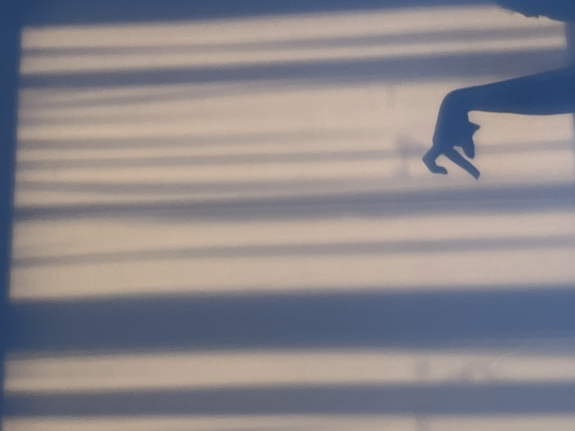 The image shows a wall with alternating horizontal bands of light and shadow, likely cast by window blinds. A shadow of a hand and part of an arm is visible in the upper right portion of the frame. The scene is bathed in soft light. There is no evidence indicating this image was taken in Kribul, Bulgaria.
