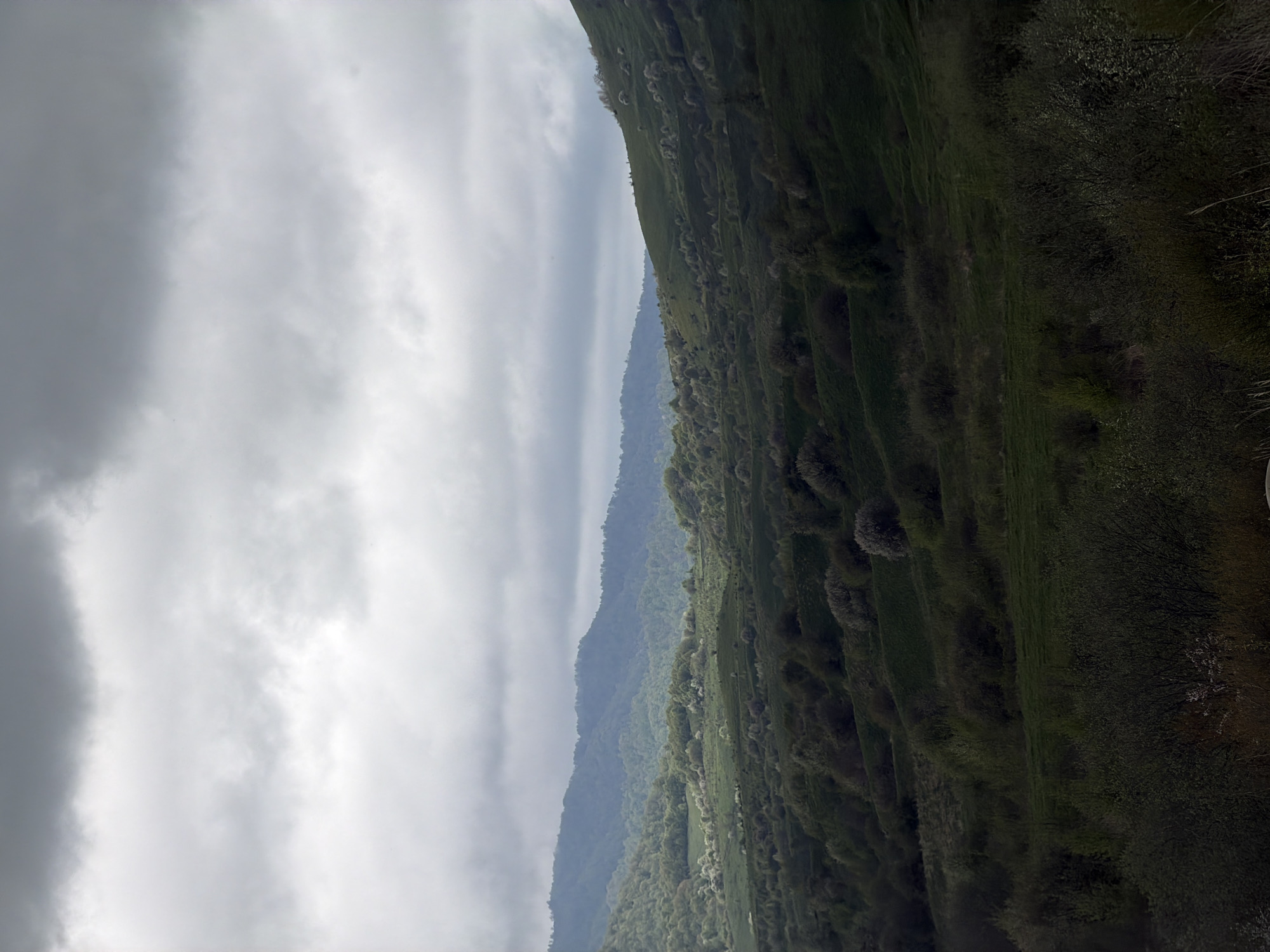 The image depicts a landscape of rolling hills under a cloudy sky. The hills are covered in green vegetation with scattered trees and shrubs. In the distance, a range of mountains can be seen, obscured by haze. The perspective suggests the scene is viewed from a high vantage point. There is no indication of the specific location of Verona, Georgia, or any people, subjects, or actions within the frame.
