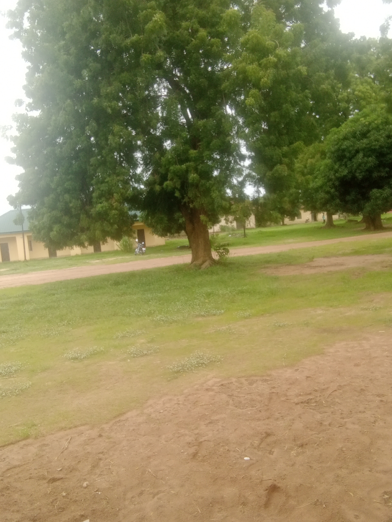 This is an outdoor, medium-angle, eye-level shot taken in Jalingo, Nigeria. The foreground is dominated by a dirt path that leads into a grassy area. In the midground, a light-colored, low-rise building with a green roof is visible behind several large trees. The trees have dense green foliage. A motorcycle is parked on the dirt path in front of the building. The sky is overcast and appears bright, suggesting it is daytime, possibly late morning or afternoon, with hazy or diffused light. The overall scene depicts a simple, possibly rural or institutional setting, with a relaxed and somewhat tranquil atmosphere due to the greenery and natural light. No text is visible in the image.