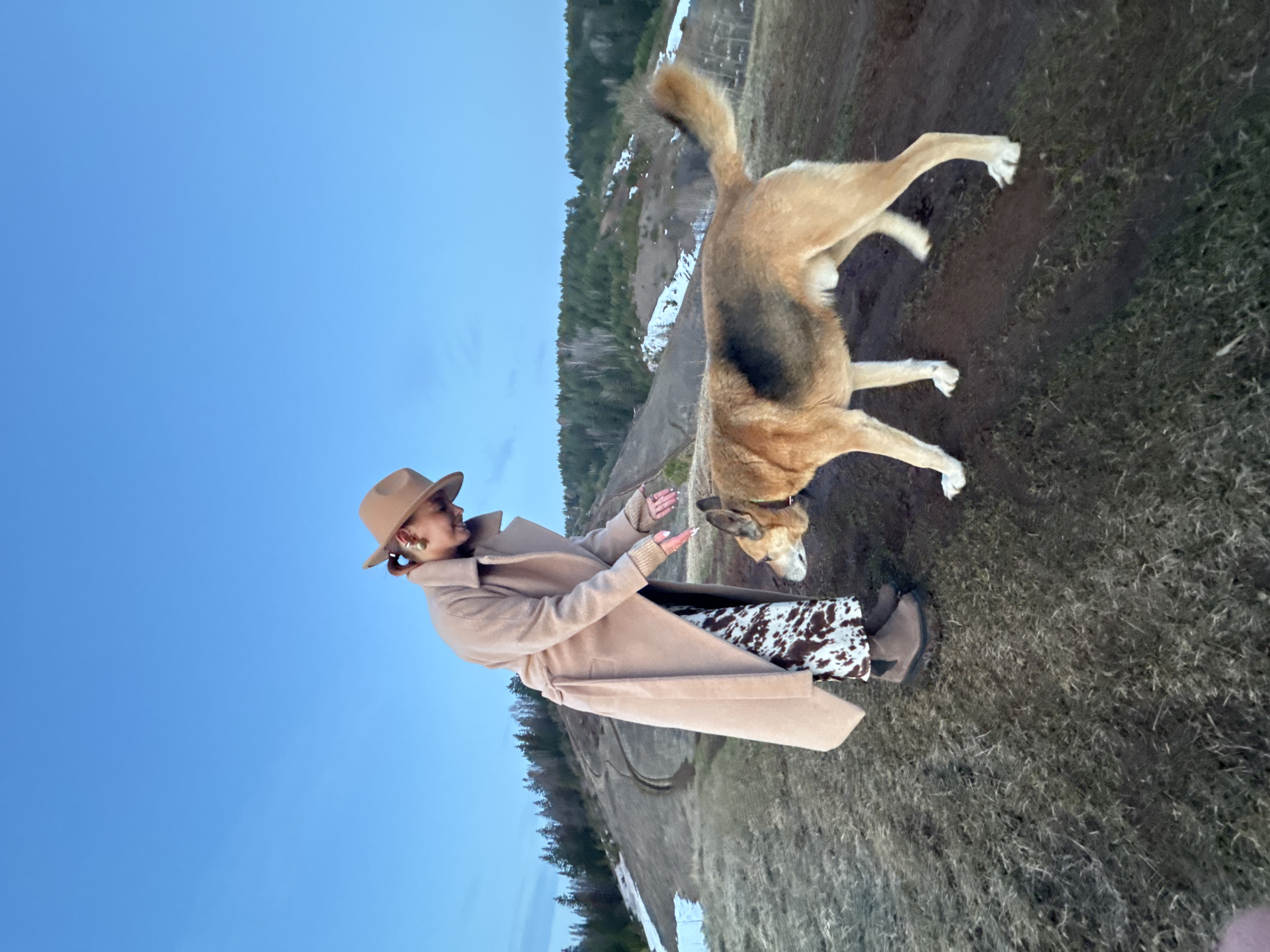 A woman stands on a grassy slope facing a dog. The location is most likely in a rural area near Ольховка, Russia, given the background with trees and snowy patches. The woman is wearing a beige hat, a long beige coat, and animal print pants. She is extending her hands towards the dog. The dog, a large, mixed-breed type, is jumping towards her. The sky is a clear blue with a hint of dusk.