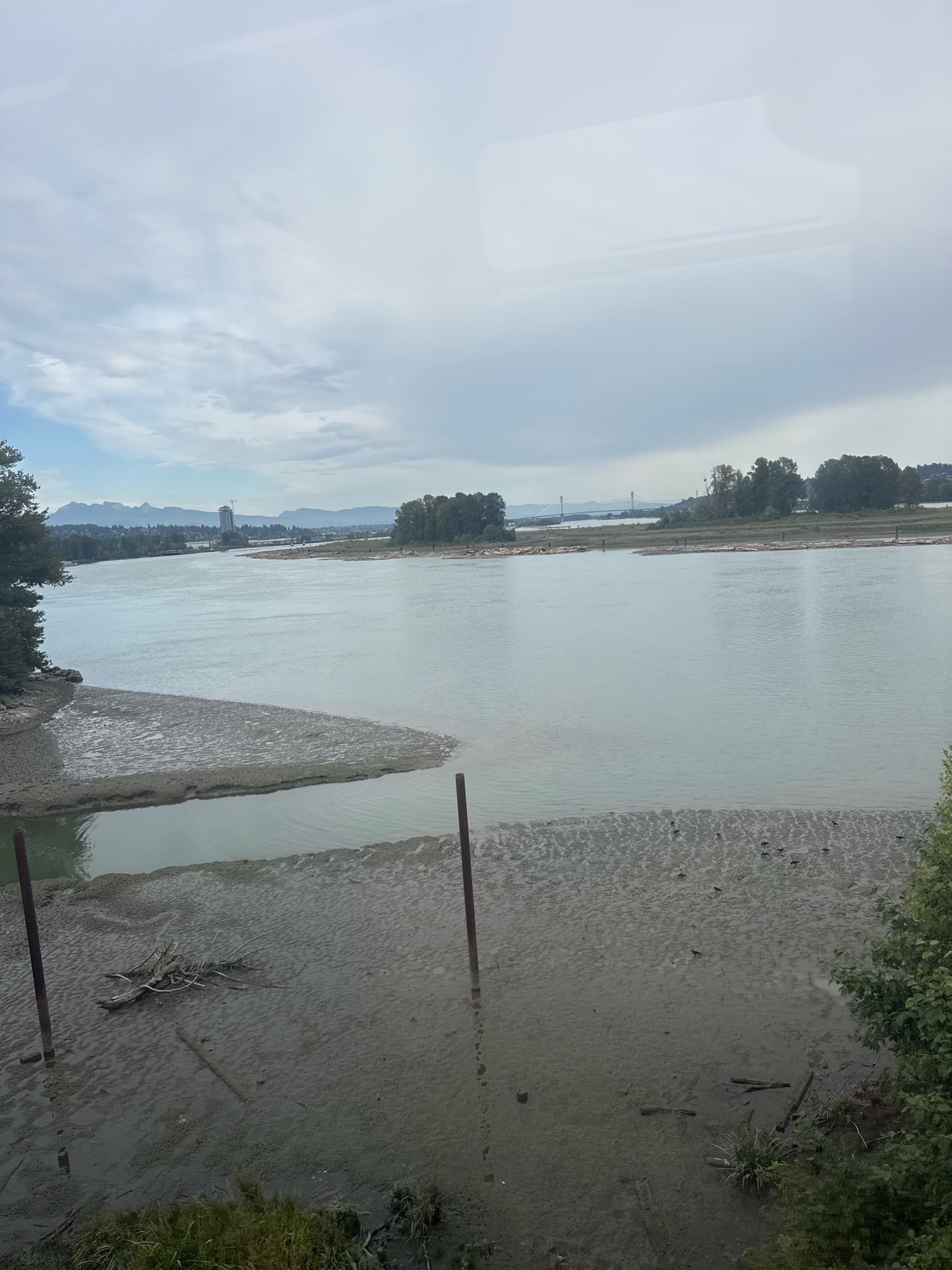 This image shows the Fraser River in New Westminster, Canada. The river is wide and calm, with a muddy shoreline in the foreground. Trees line the opposite bank, and mountains can be seen in the distance. The sky is overcast, with a few clouds. There are some wooden posts and debris in the mud.