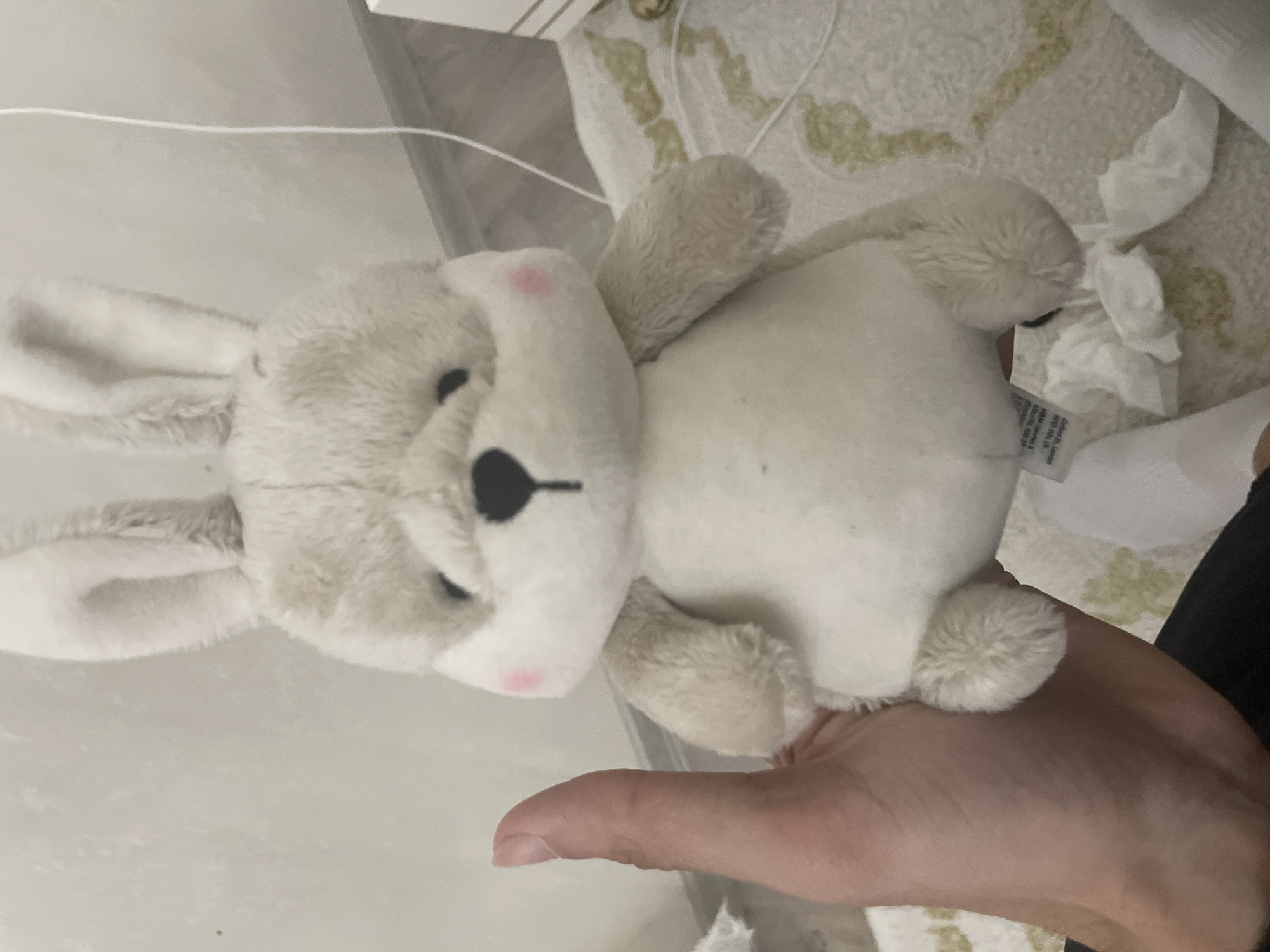 The image captures an indoor scene located in Ihtiman, Bulgaria. The central subject is a light-grey plush rabbit, held upright by a light-skinned human hand with short fingernails. The rabbit presents with large erect ears, small black embroidered eyes, a black embroidered nose, and two circular pink blush marks on its cheeks. Its body is round and covered in short-pile fabric. A white fabric tag is visible protruding from the rabbit's underside. The immediate background consists of a plain light-colored wall with minor textural inconsistencies. The floor is covered by a light-toned rug featuring a faded yellowish-green abstract or floral pattern. A white baseboard separates the wall and rug. A thin white cable is draped vertically down the right side of the frame, extending onto the rug. Several crumpled white tissues are scattered on the rug around the base of the stuffed animal. A human leg, partially obscured and wearing a white sock, is visible in the lower right, adjacent to the stuffed animal and tissues.