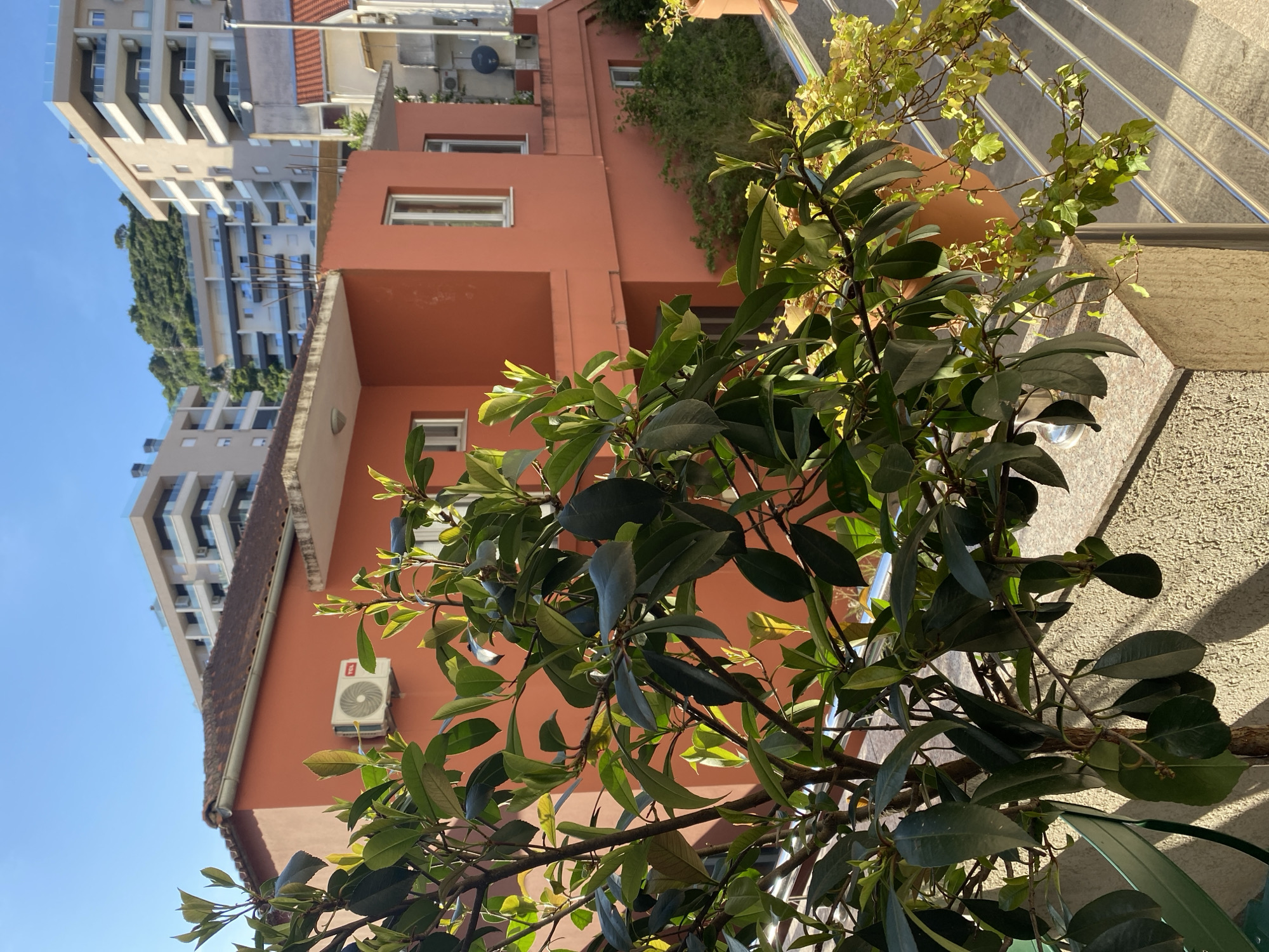 The image captures an urban landscape under clear blue skies, featuring a mix of residential buildings and lush greenery, characteristic of a Mediterranean coastal town like Budva, Montenegro. The perspective is looking upwards from a slightly lower vantage point.
In the foreground, a vibrant tree with dark green, broad leaves prominently occupies the right and lower-middle sections of the frame, partially obscuring the buildings behind it. Sunlight filters through its foliage, creating dappled light and shadow. To the right, lighter green climbing plants, possibly ivy, are seen clinging to a structure, with a modern metal railing or staircase visible behind them.
In the mid-ground, a multi-story building with distinctive terracotta or reddish-orange painted facades stands out. It features multiple rectangular windows, some with white frames, and recessed balconies. On the lower left side of this building, an air conditioning unit is mounted on the exterior wall. A brown tiled roof and a drainpipe are visible along the top edge of this building section.
In the background, several taller, more modern apartment buildings with numerous balconies and lighter-colored facades (beige, white, or grey) rise above the terracotta building. Between and behind these structures, a steep, tree-covered hill is visible, suggesting the hilly or mountainous terrain common to the region. The sky above is clear and bright blue.
The scene is well-lit by bright sunlight, casting distinct shadows and highlighting the textures of the buildings and foliage, indicating a sunny day. The architectural styles, combining traditional elements with modern developments, align with the provided location context. A small, indistinct red logo or text is visible on the air conditioning unit. No specific activity or people are depicted.