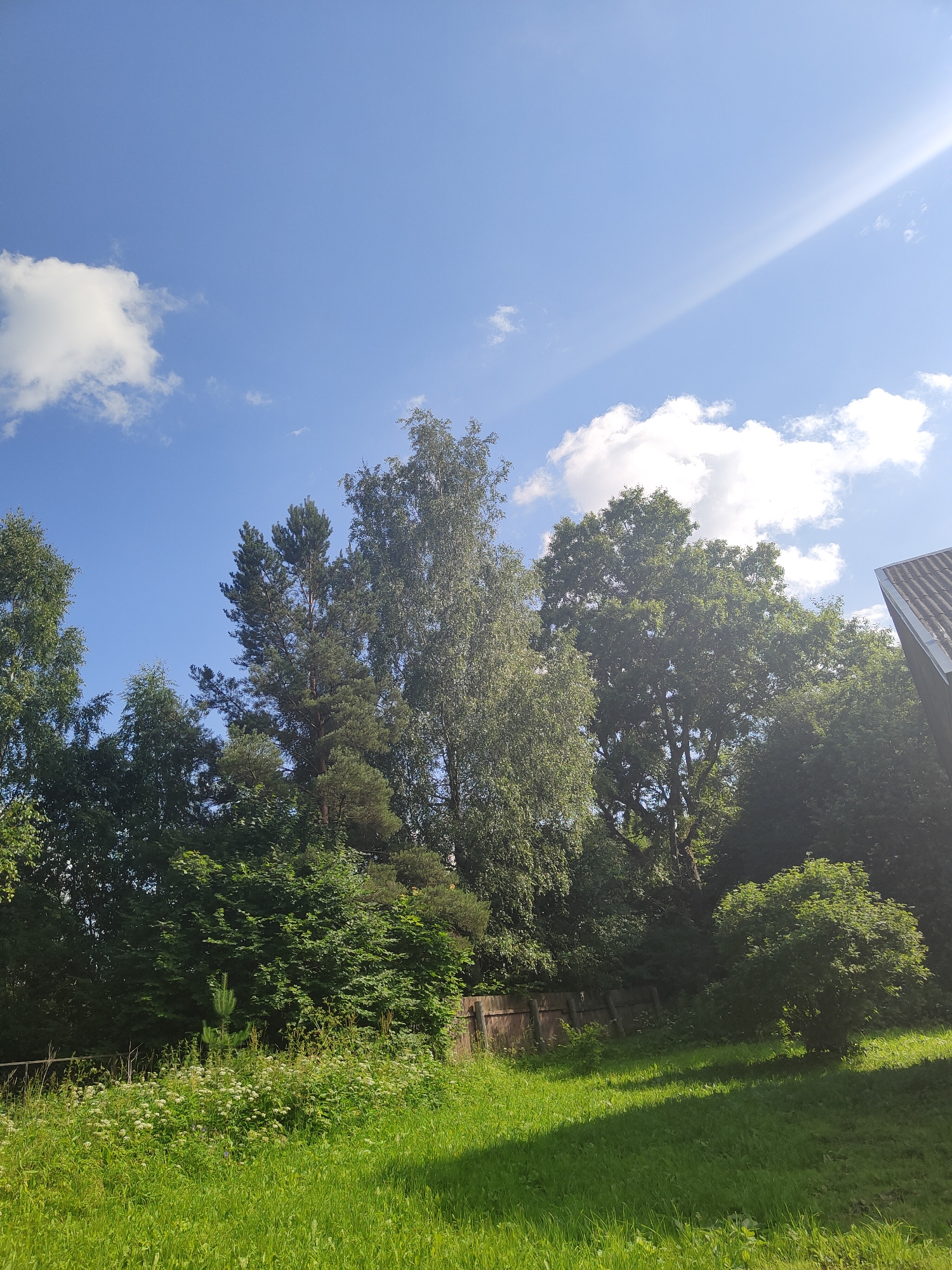 The image depicts a sunlit outdoor scene with a bright blue sky and scattered white clouds. A prominent diagonal sunbeam streaks across the upper right portion of the sky. The landscape is dominated by a dense arrangement of various green trees, including tall birches and pines, as well as shorter, bushier trees and foliage. In the foreground, a well-lit grassy area with distinct shadows from unseen objects is visible. A wooden fence runs horizontally across the middle ground, partially obscured by vegetation. To the far right, the roof of a building with dark tiles and a white edge is visible. The overall impression is of a sunny day in a natural or semi-natural environment. Given the description of Talitsa, Russia, this scene likely represents a rural or suburban area within or near the city.