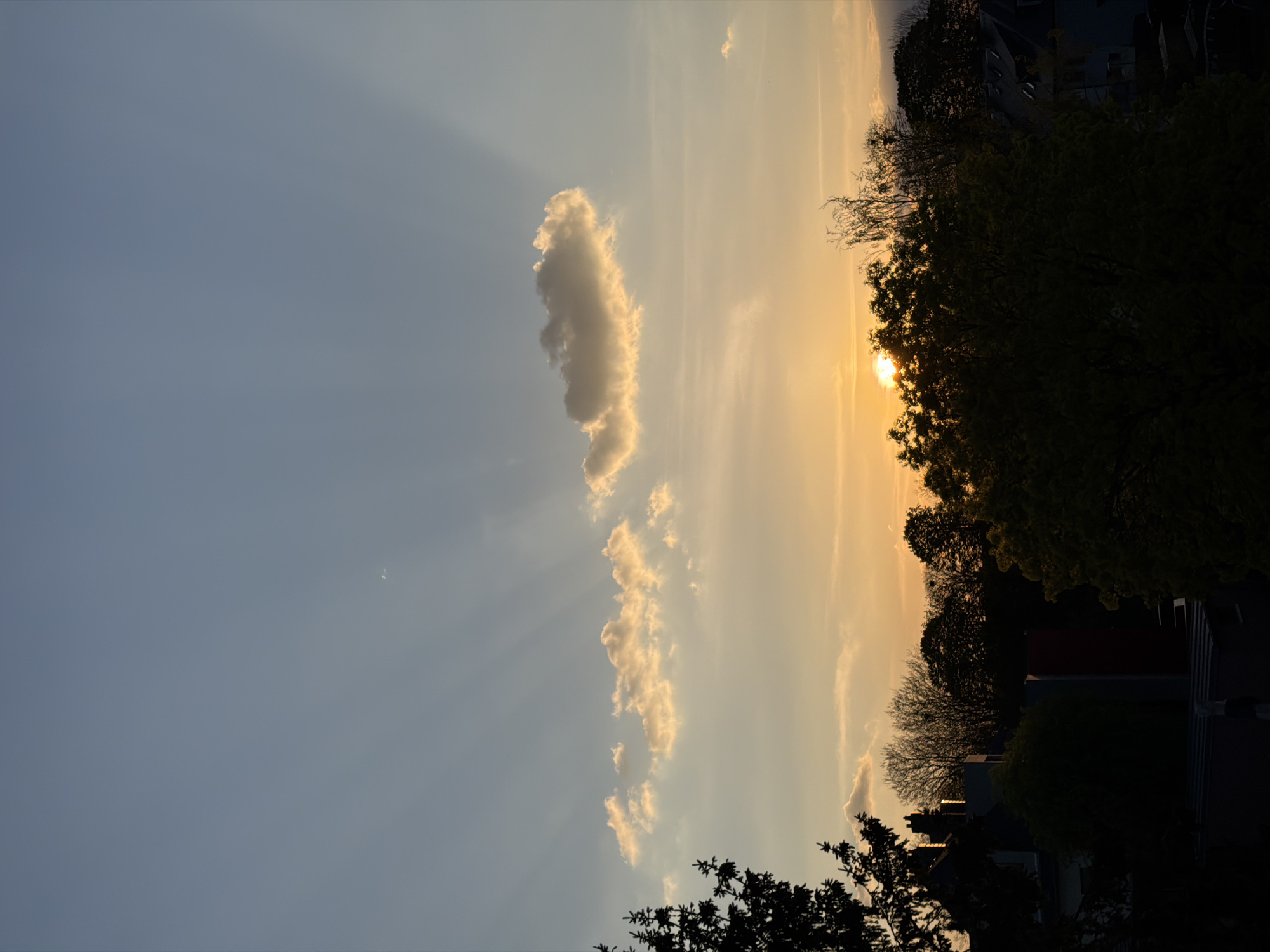 The image captures a sunset scene in Esch-sur-Alzette, Luxembourg. The sky transitions from a light blue to a warm golden hue near the horizon. A prominent, elongated cloud formation with golden edges is positioned towards the left side of the image, casting visible sun rays. Dark silhouettes of trees and buildings line the bottom and right edges, obscuring most of the urban landscape. The sun is partially visible through the trees, creating a bright spot in the center-right. No people or specific actions are visible.