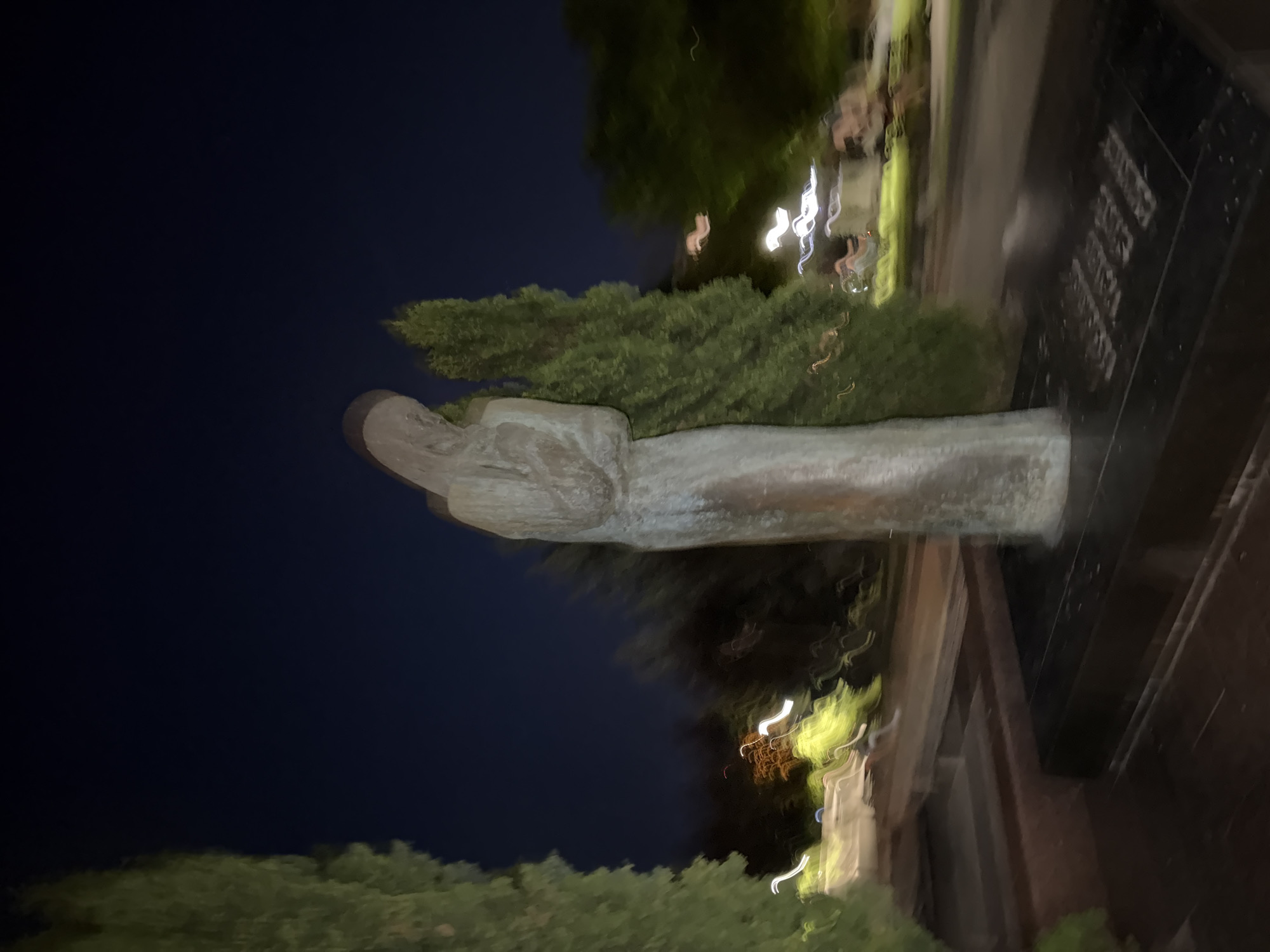 The image shows a bronze statue of a veiled figure, likely a woman, standing in a cemetery at night. The statue is positioned on a dark granite base, which bears an inscription that is partially obscured and difficult to read due to the lighting and focus. The figure is depicted with its head bowed and arms crossed, suggesting a somber or contemplative pose. To the right of the statue is a tall, slender cypress tree. To the left, a larger, broader tree creates a framing element. The background is a dark, deep blue night sky. The ground in front of the statue appears to be a paved walkway or terrace with stone steps. Streaks of light, likely from passing vehicles or ambient lighting, are visible in the background, indicating movement and contributing to a slightly blurred effect in the scene. The overall impression is one of solemnity and stillness, punctuated by the motion blur of the distant lights. This statue is located at the Central Cemetery in Chișinău, Moldova.
