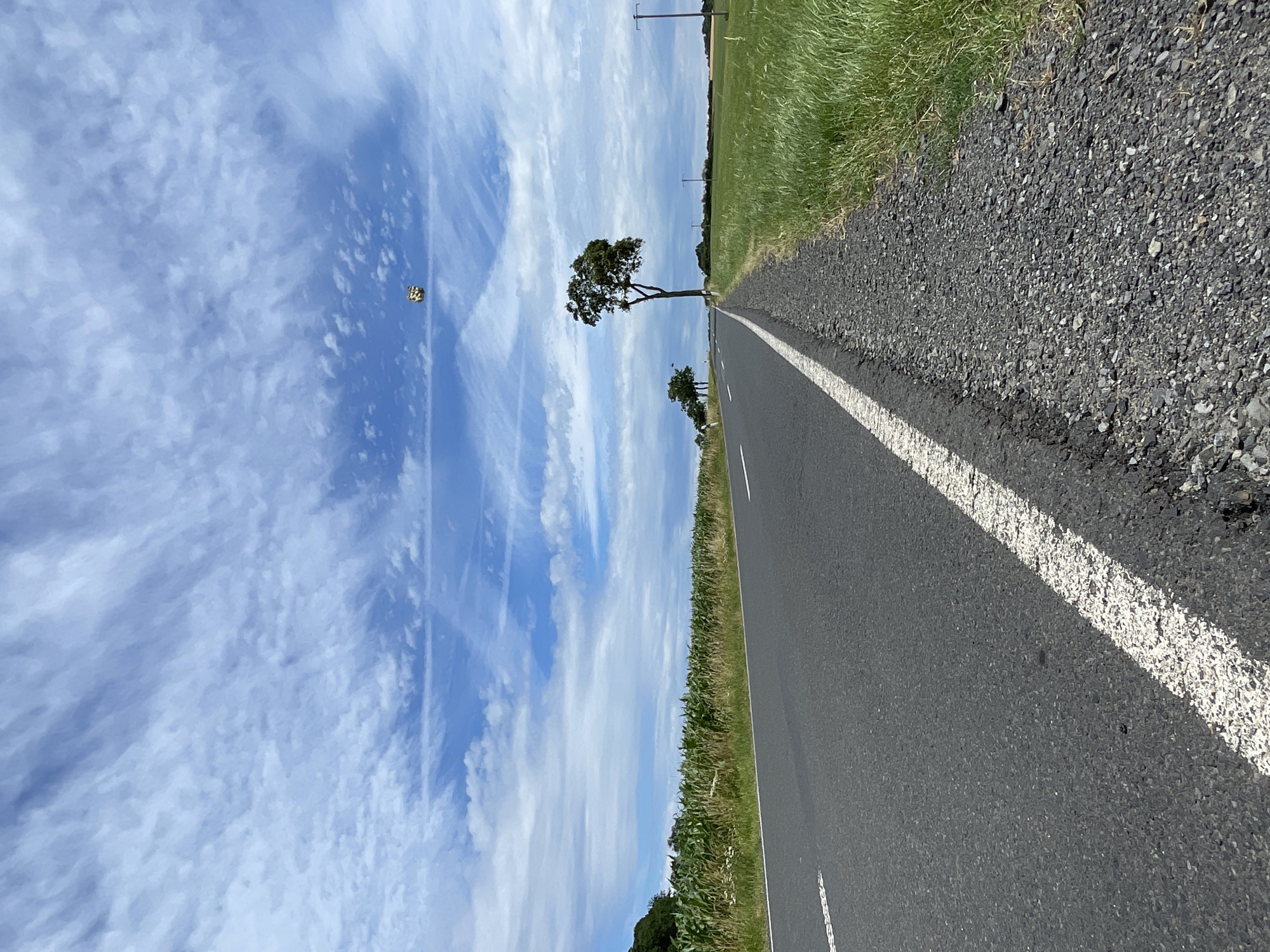 A desolate, rural scene unfolds under a dynamic sky filled with wispy clouds. A two-lane asphalt road cuts through the landscape, its white lane markings a stark contrast against the dark pavement. To the left of the road, a field of tall, green corn stalks stretches towards the horizon. To the right, a grassy field meets the road's gravel shoulder. A solitary, mature tree stands prominently on the right side of the road, its branches reaching towards the sky. In the distance, a line of smaller trees can be seen. A peculiar, multi-colored object, possibly a kite or a drone, floats in the upper right quadrant of the sky. The location is identified as Christerode, Germany.