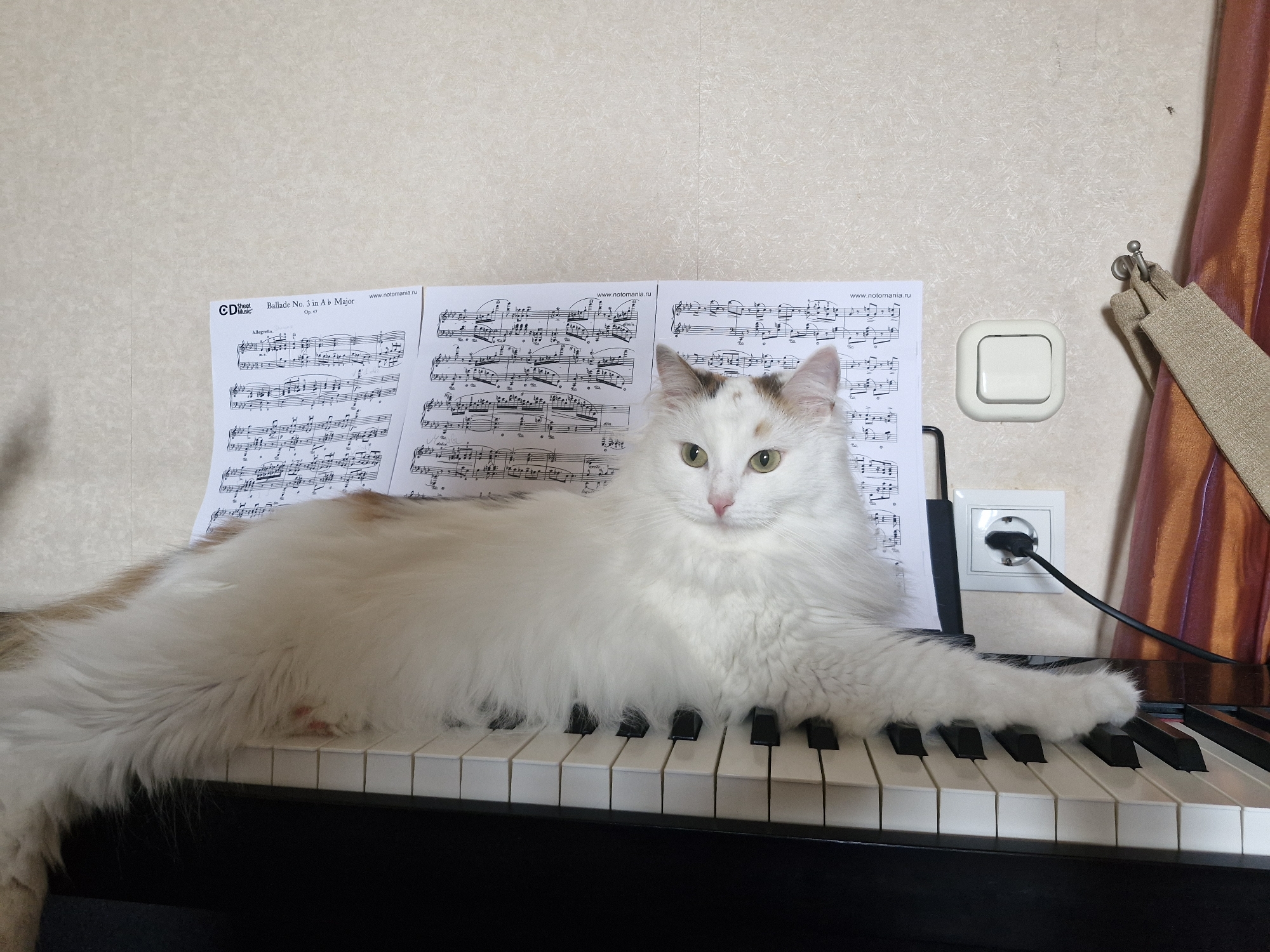 A long-haired white and ginger cat is lying on top of a black and white keyboard, with its body stretched across the keys. The cat's head is raised and it is looking directly at the camera with green eyes. There are sheets of music on a stand behind the cat. To the right of the cat, a beige wall is visible, with a white electrical outlet and a brown curtain. The image appears to be taken indoors, likely in a domestic setting. There is no information available to suggest this image is located in the city of Yekaterinburg, Russia.