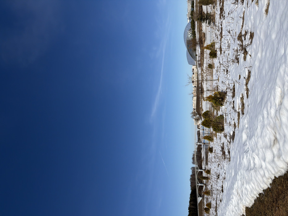 This image captures an expansive outdoor scene in Bezborodovo, Russia, under a clear blue sky with a faint contrail visible in the upper left. The foreground consists of an uneven terrain largely covered in melting snow, revealing patches of brown, dry vegetation and scattered small, round evergreen shrubs. A narrow dirt path is visible along the left edge of the foreground. In the midground, a body of water, likely a river, flows horizontally across the frame. It is spanned by a light-colored, multi-arched bridge. The left bank of the river is bordered by a dense forest of evergreen trees. On the right bank, several multi-story residential buildings with light facades are visible, and further to the right, a large, modern building with a distinct glass or translucent domed roof stands prominently. No individuals or active subjects are discernible within the frame.