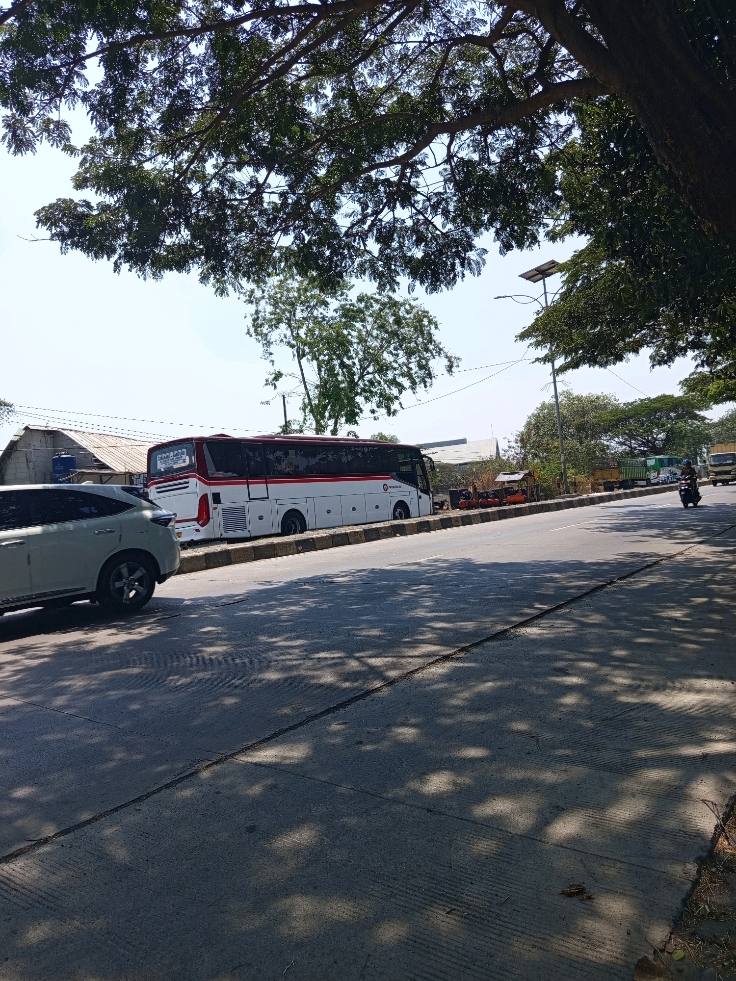 A white and maroon intercity bus is parked on the side of a road in Karawang, Indonesia, under the shade of a large tree. A white car is parked in front of the bus. In the background, there are several buildings and other vehicles, including a truck and a motorcycle with a rider. The sky is clear and blue.