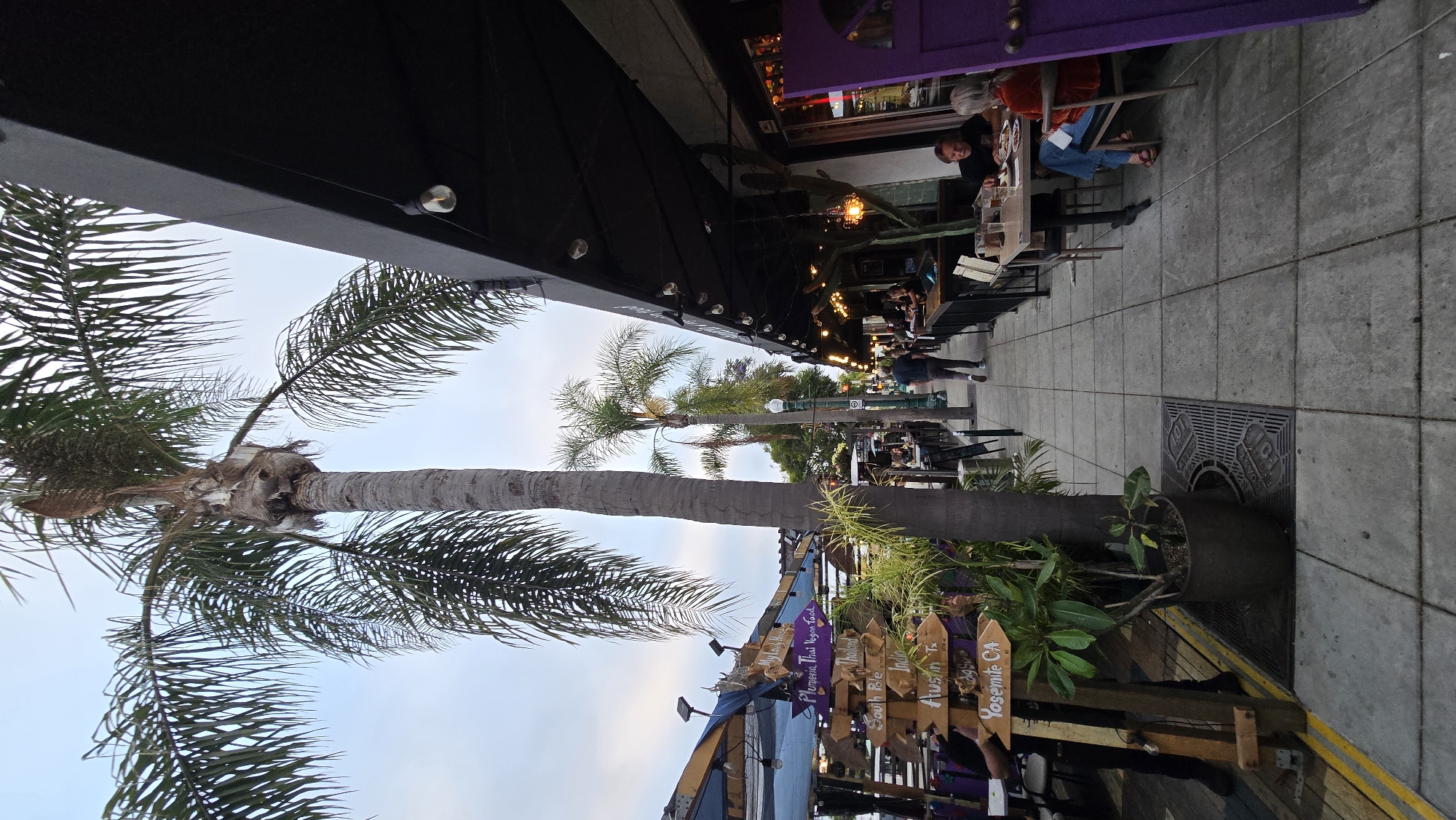 This image depicts a wide-angle view of a sidewalk scene in Encinitas, California, specifically on Coast Highway 101, identifiable by the "101 Coast" storm drain grate in the lower foreground and the presence of "Plumeria Thai Vegan Food," a known establishment in the city. The time appears to be late afternoon or early evening, indicated by the soft, diffused light from an overcast or twilight sky.
In the immediate foreground, a tall, mature palm tree with green fronds occupies the left side, its rough, segmented trunk rising prominently. At its base, a dark brown potted plant containing small green foliage sits on the concrete sidewalk. Adjacent to this, a rustic wooden signpost with multiple directional arrow signs is positioned. Visible sign destinations include "My Lady House," "Plumeria Thai Vegan Food," "Thailand," "South Pole," "India," "Austin TX," and "Yosemite CA." To the left of the signpost, a partially obscured outdoor dining area with blue canopy coverings and string lights is visible.
On the right side of the foreground and extending into the midground, a row of commercial establishments features dark awnings over storefronts. String lights are strung beneath these awnings. An open, bright purple door frame is visible on the far right. Seated at an outdoor dining table directly in front of this purple entrance are two individuals: a man with dark hair in a black shirt, facing left, and a woman with grey hair in an orange top and blue jeans, facing away from the camera. They are engaged in dining or conversation.
The concrete sidewalk, composed of large square pavers, extends down the center of the image into the distance, appearing busy with pedestrian traffic. Several individuals are walking along the sidewalk, including a man in a dark shirt and light pants walking away from the viewer in the midground. Another, smaller palm tree is visible further down the street on the left, alongside streetlights. More outdoor dining setups are present under the awnings of the businesses lining the right side of the street, including a large cactus plant next to one of the tables.
The background shows additional buildings and greenery, fading into the distance under the pale, cloud-covered sky. The scene suggests an active urban street with a focus on outdoor dining and pedestrian activity.