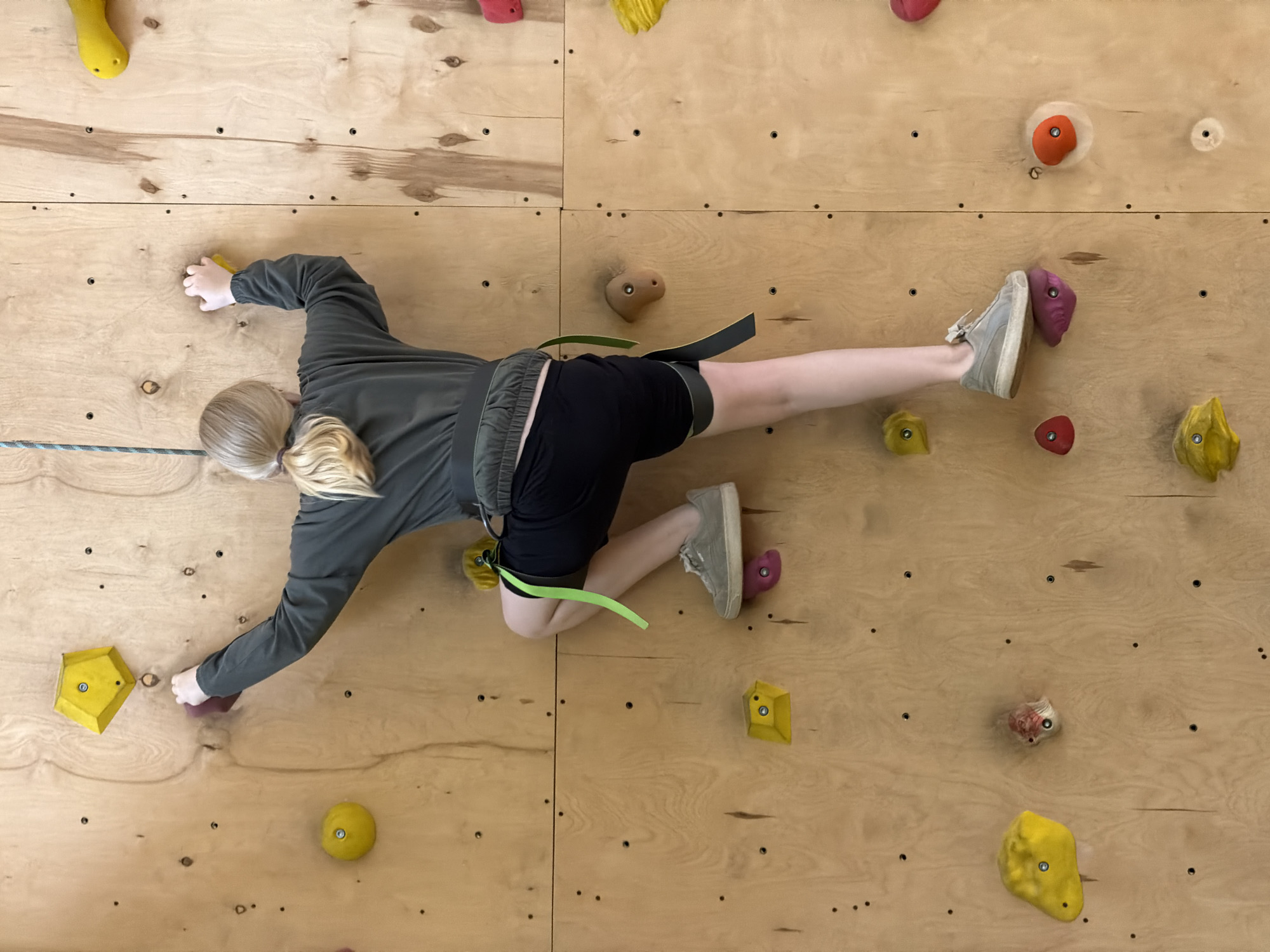 An overhead, full-length shot depicts a person actively climbing on a wooden bouldering or climbing wall in an indoor facility. The climber, with blonde hair tied in a ponytail, wears a dark green long-sleeved top, black shorts, and light grey sneakers. A neon green strap, likely part of a harness or safety equipment, is visible around their waist.
The person is positioned horizontally across the wall, reaching with their right hand to a small, dark red hold and extending their left arm towards a yellow, polygonal hold in the lower-left. Their left foot is placed on a pink hold, while their right leg is extended backward, with the right foot on a pink hold higher up the wall. This posture indicates active movement across the climbing surface.
The climbing wall is constructed from light-colored plywood panels, fastened together with numerous dark screws and dotted with metal inserts for hold attachment. A variety of colorful holds—including yellow, red, orange, pink, and natural wood-toned (brown)—are scattered across the wall, offering different grips and foot placements. A blue and grey patterned rope runs horizontally across the lower section of the wall, separate from the climber's immediate activity.
The scene takes place indoors, characteristic of a climbing gym in Izhevsk, Russia. The time of day and external weather are not discernible. No specific emotions are evident as the climber's face is not visible. There is no visible text in the image.