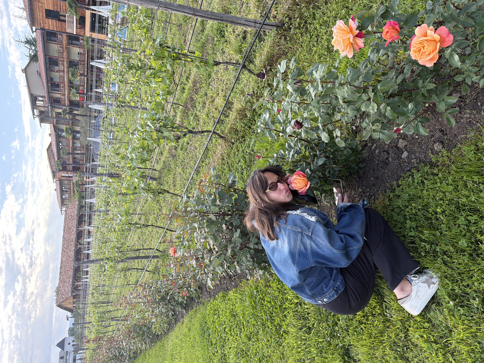 A young woman in a denim jacket and dark pants is kneeling in a grassy area beside a row of flowering rose bushes. The roses are a blend of orange, peach, and red hues. She is wearing sunglasses and appears to be kissing or smelling one of the flowers. In her left hand, she holds a smartphone. In the background, rows of grapevines extend toward buildings that suggest the location is in a winery or vineyard. The style of the buildings and the vineyards suggest a location in Napareuli, Georgia.