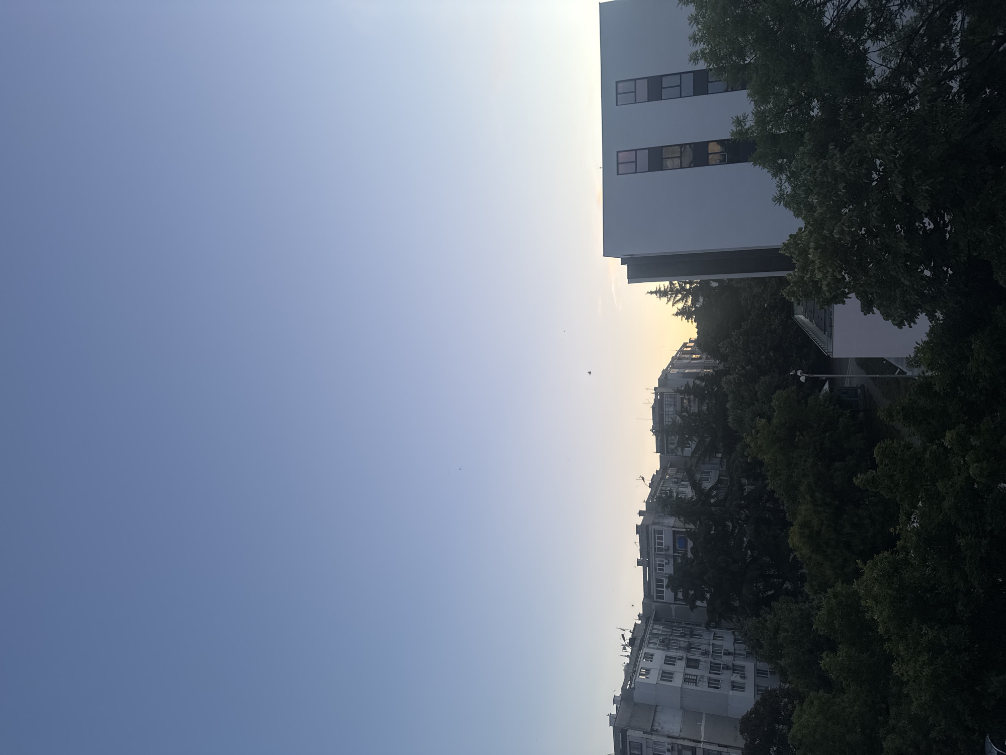 The image depicts a view of apartment buildings and trees in Burgas, Bulgaria, under a clear, pale blue sky that transitions to a lighter hue near the horizon. In the foreground, lush green trees create a dense canopy, obscuring the lower portions of the buildings. To the left, a series of older, grey apartment buildings with multiple windows and balconies are visible. In the center and to the right, a modern, white building with a dark vertical strip and multiple windows stands out. The overall impression is of a residential area bathed in the soft light of either early morning or late evening. Several small birds are scattered across the sky.