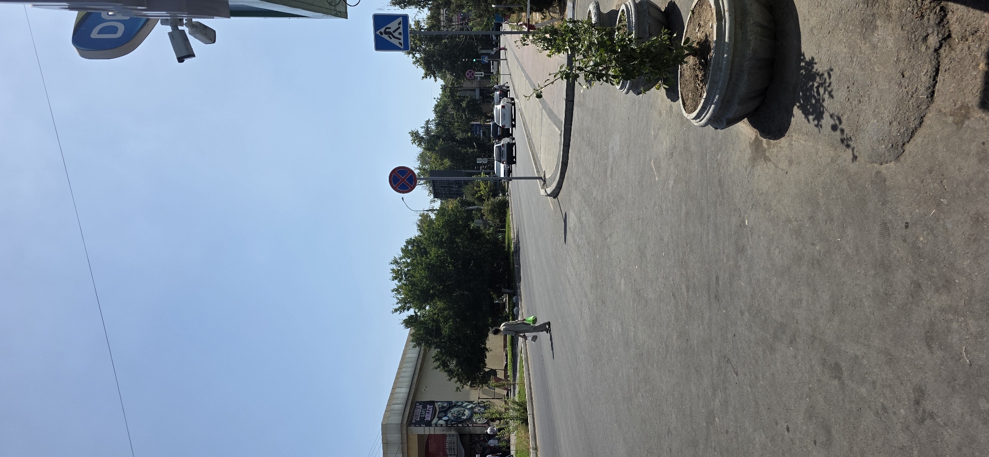 A pedestrian is crossing a paved street on a sunny day in Tashkent, Uzbekistan. The pedestrian, dressed in light-colored clothing and carrying two green plastic bags, is in the middle of the roadway. The street is wide and appears to be a multi-lane road with traffic signs visible in the background. To the left, there is a building with a signage that reads "ZUBRA KAFE". Trees line the side of the road, and there are decorative planters with small trees on the right side of the image. Cars are visible in the distance on the road. A traffic light and a pedestrian crossing sign are also present. The sky is clear blue.