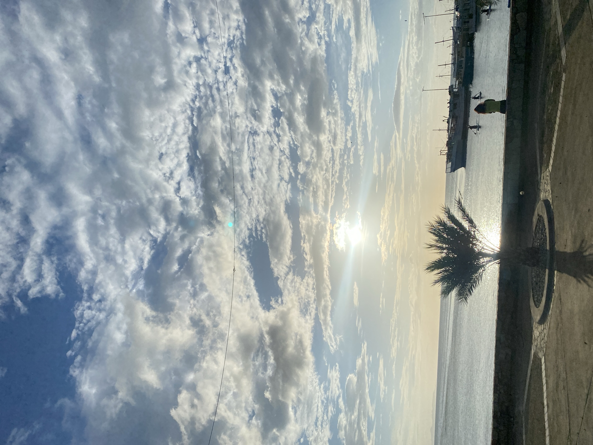 This is an outdoor, eye-level, vertical photograph taken in Juan Griego, Venezuela, during daylight hours with a bright, cloudy sky. The scene features a waterfront promenade with a stone wall overlooking a calm body of water. A single palm tree is prominently featured in the foreground, silhouetted against the bright, sunlit water and sky. In the background, several docked boats and a few individuals on paddleboards are visible in the water. The sun is setting or rising, casting a warm glow across the scene and creating a bright glare on the water. The overall impression is one of tranquility and natural beauty.