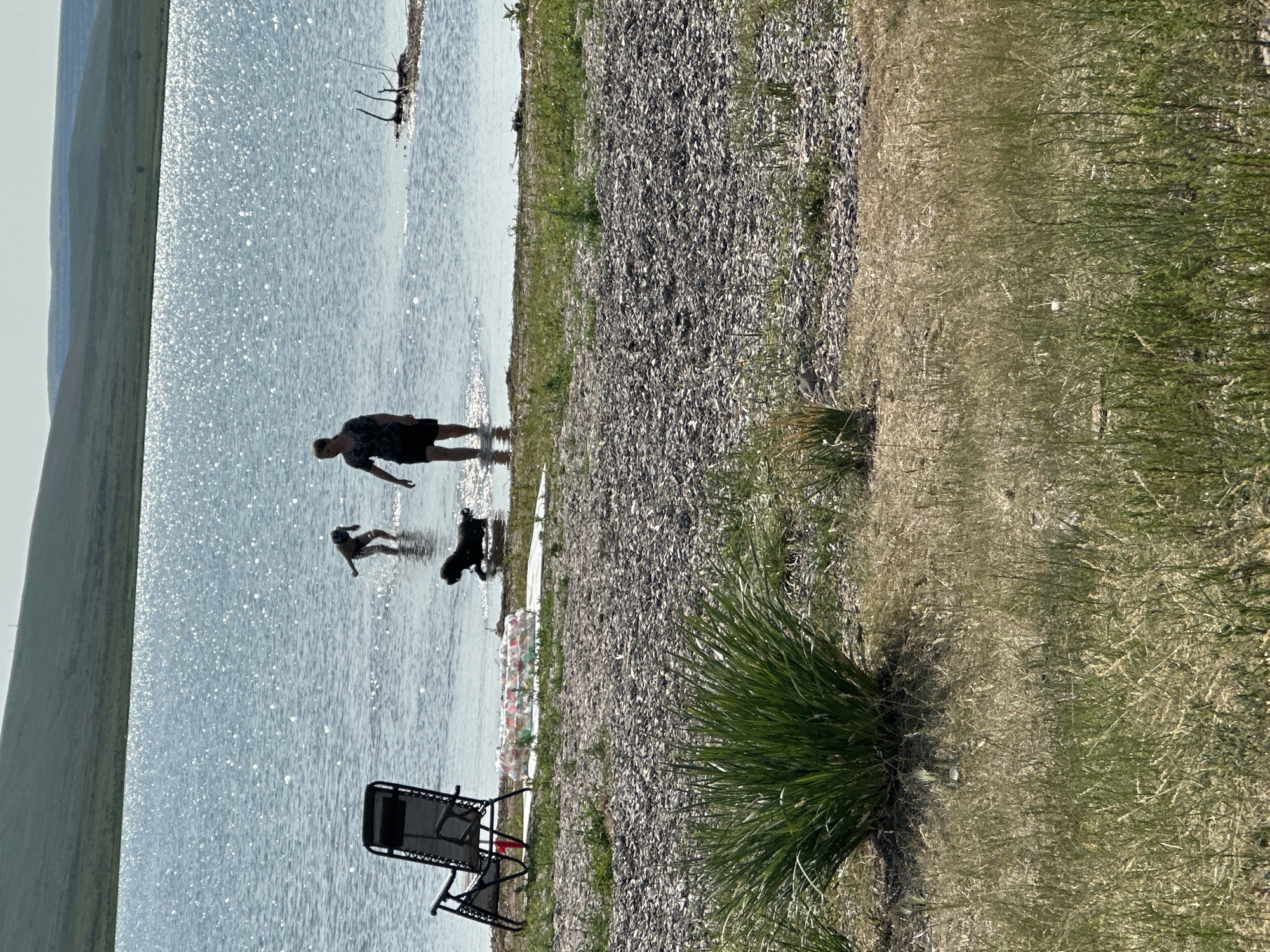 This image depicts a serene outdoor scene near the city of Novonikolaevka, Russia. The foreground is dominated by dry grass and a large clump of green vegetation, leading to a rocky shoreline. The shoreline transitions into a calm, glittering body of water. In the water, two individuals, one adult and one child, are wading. A black dog is also visible in the water, seemingly playing. To the left of the water, a black lawn chair is placed on the rocky shore. In the background, rolling green hills form the horizon under a hazy sky. The overall impression is one of a peaceful, sunny day at a lakeside or reservoir.