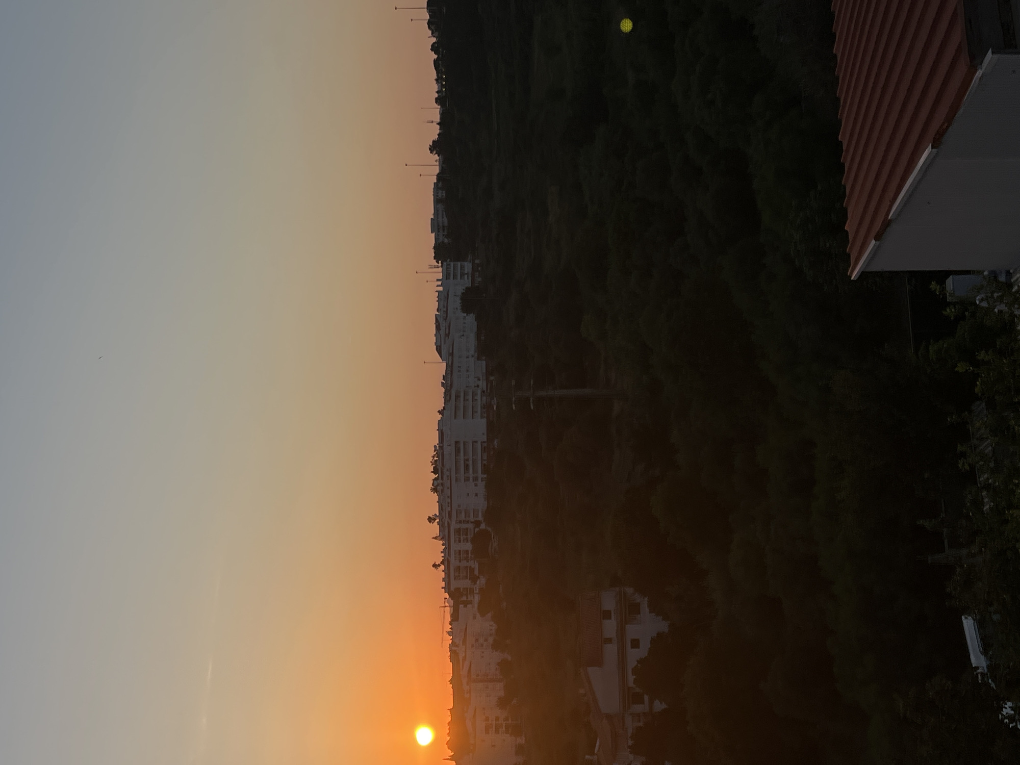 An outdoor, high-angle, vertical, full shot captures a sunset over a Portuguese city. The sun, a bright orange orb, is visible on the left side of the frame, casting a warm glow across the sky. Buildings, mostly white with flat roofs, are clustered in the midground, some appearing to be apartment complexes. A dense, dark green forest or shrubbery covers a hill in the middle of the scene. In the foreground, the corner of a building with a red tiled roof is visible on the right side. A single power pole with wires is situated in the dark green vegetation. The sky transitions from a pale blue at the top to a soft orange near the horizon. The overall scene depicts a serene urban landscape at dusk.