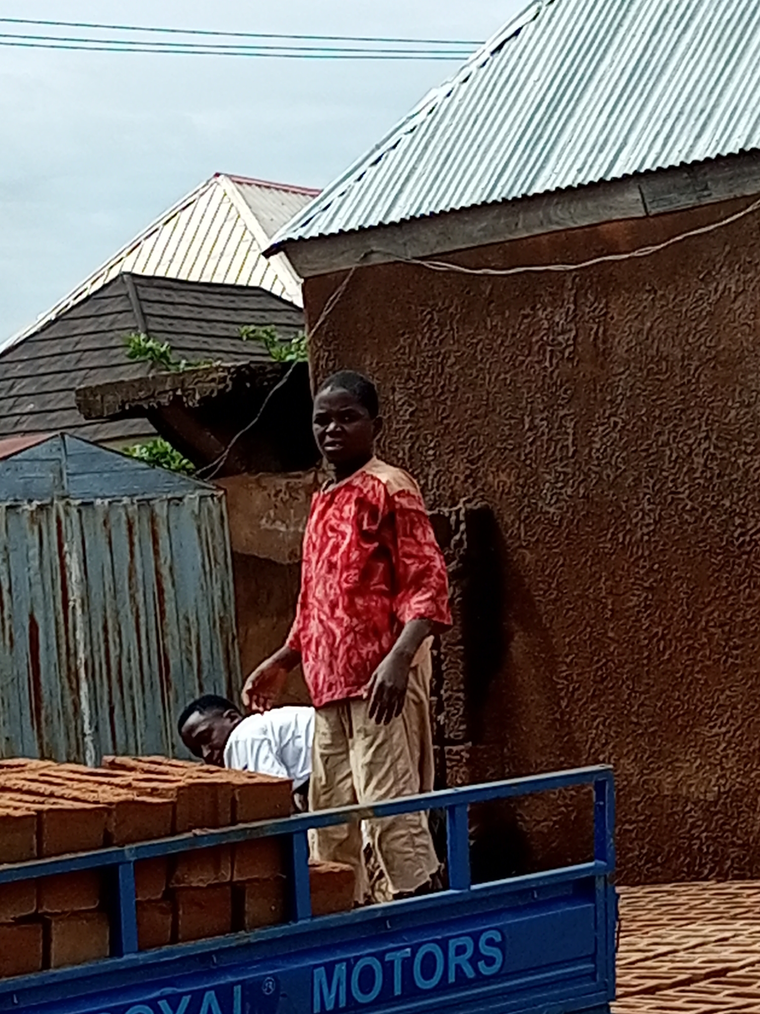 In Tempure, Nigeria, this image captures a street scene with two individuals engaged in the loading of bricks onto a blue truck. A man wearing a red patterned shirt and tan pants stands to the right, facing the camera with a neutral expression. To his left, another man in a white shirt is bent over, actively handling the bricks. The truck bed is filled with stacks of rectangular, reddish-brown bricks. In the background, corrugated metal roofs of various structures are visible, along with a textured, brown wall. The sky appears overcast. The word "MOTORS" is visible on the side of the truck, suggesting it is a commercial vehicle.