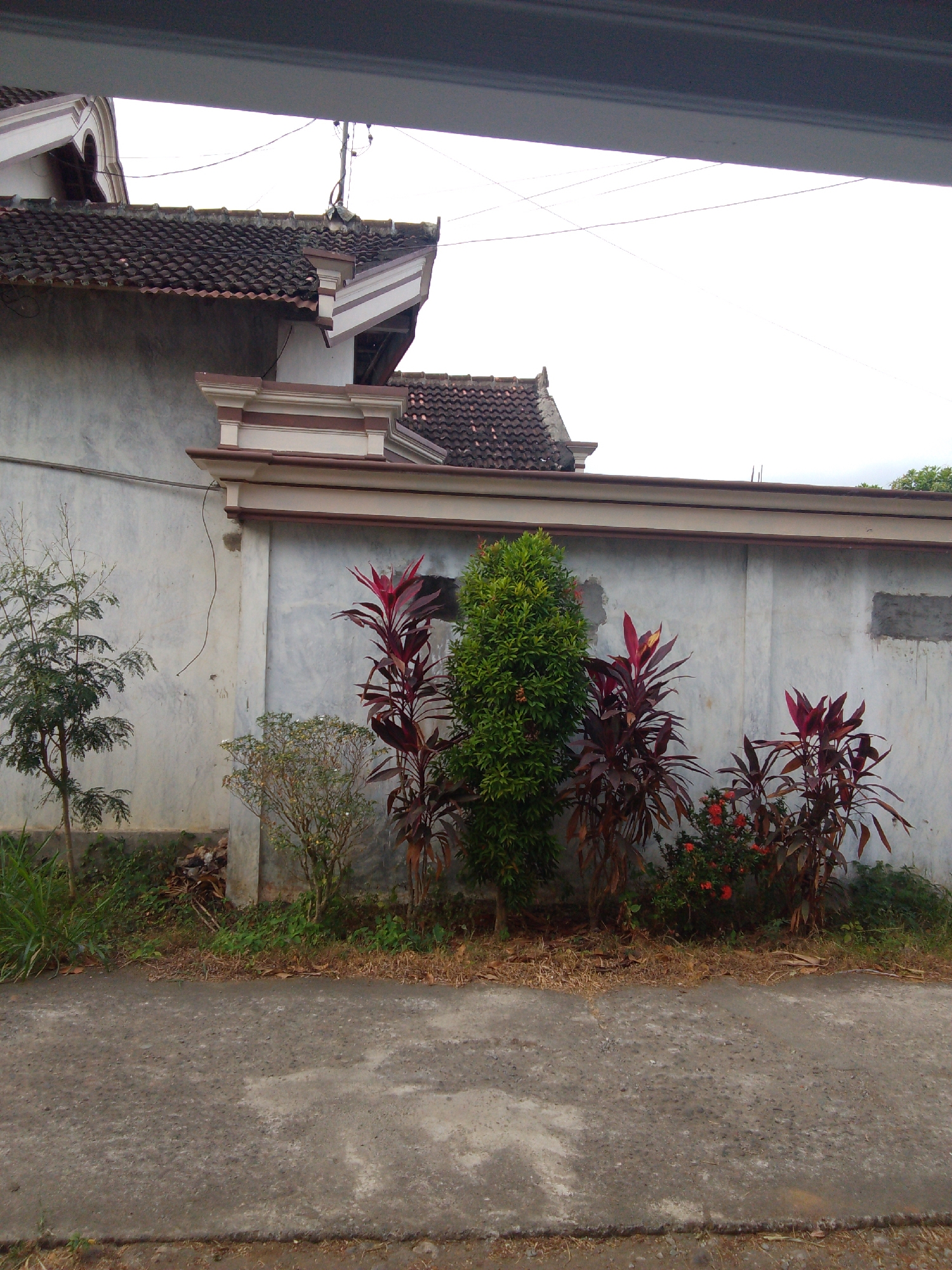 A medium-shot, outdoor, eye-level, still photograph captures a section of a weathered, pale gray concrete wall in Karangan, Indonesia. The wall is partially obscured by a dark gray overhang in the foreground. The wall exhibits signs of age and wear, with a few darker patches and a visible electrical wire snaking down its surface.
Several plants are arranged along the base of the wall. To the left, a slender tree with sparse, green foliage stands. Next to it, a small, bushy plant with fine, light green leaves grows. Further to the right, a cluster of tall plants with deep red, sword-shaped leaves dominates the arrangement. Interspersed with these are smaller plants bearing bright red flowers. A dense, green, columnar plant is positioned to the far right, completing the verdant border.
Above the wall, the roofs of two buildings are visible. They are covered with dark, textured tiles and feature decorative white and brown trim along their eaves. The sky above is overcast and a pale, uniform white. A thin, dark electrical cable is strung across the sky, connecting to a utility pole visible in the upper portion of the image.
The ground in front of the wall is a rough, gray asphalt road, showing signs of cracks and patches. A strip of dry, straw-like grass and scattered leaves lies between the road and the wall, indicating a dry season. The scene appears to be in a residential area, given the presence of the house and wall. There are no people or animals visible in the frame.