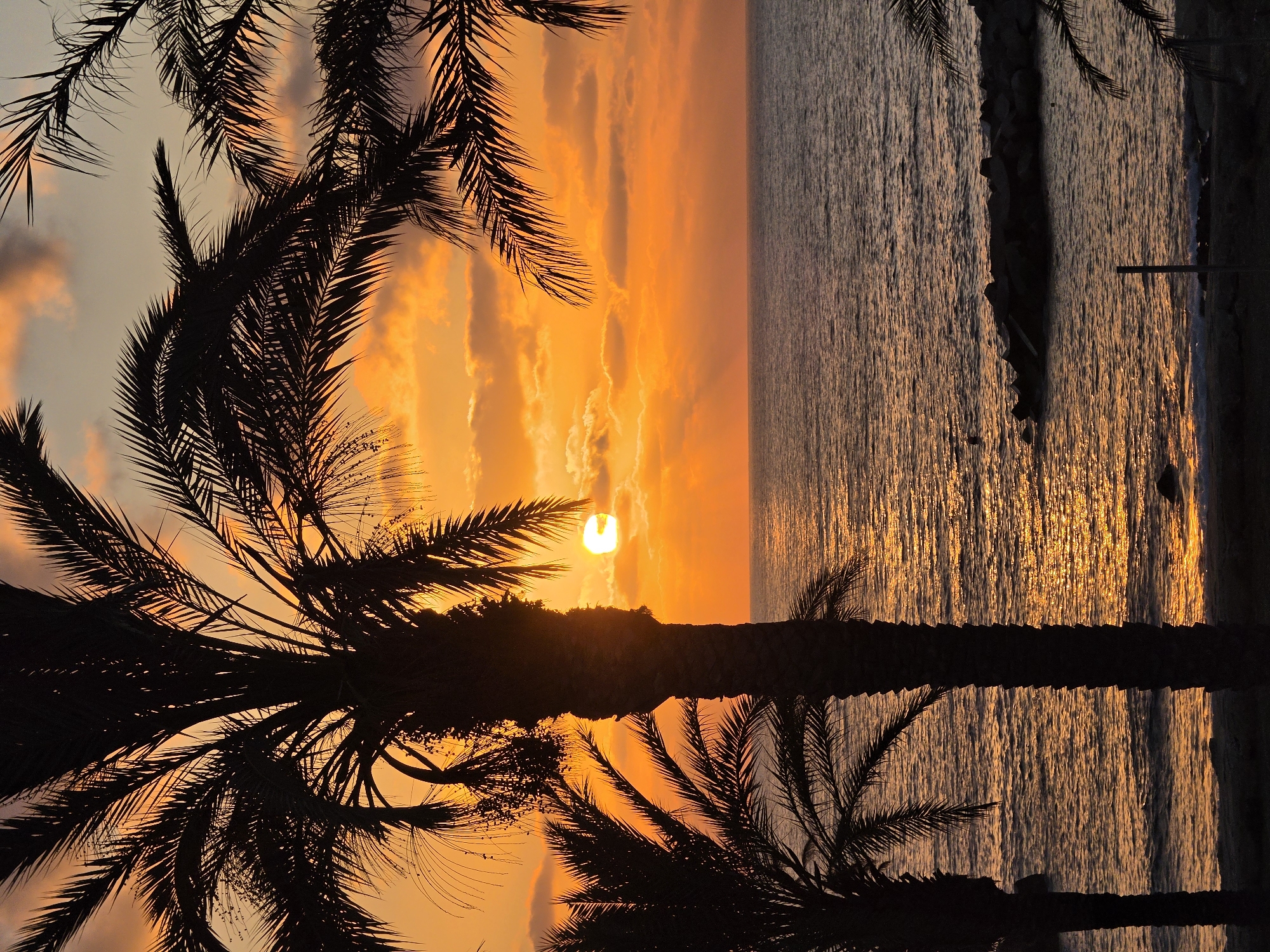 A silhouette of palm trees frames a sunset over the sea in Hlorakas Community, Cyprus. The sun, a bright orb with rays extending outwards, is partially obscured by clouds and a palm tree trunk, casting a warm orange glow across the sky and water. The sea is calm, reflecting the vibrant colors of the sunset. In the foreground, silhouetted palm trees dominate the frame, their fronds creating intricate patterns against the sky. A breakwater made of large rocks is visible in the middle distance. The overall scene evokes a sense of tropical tranquility.