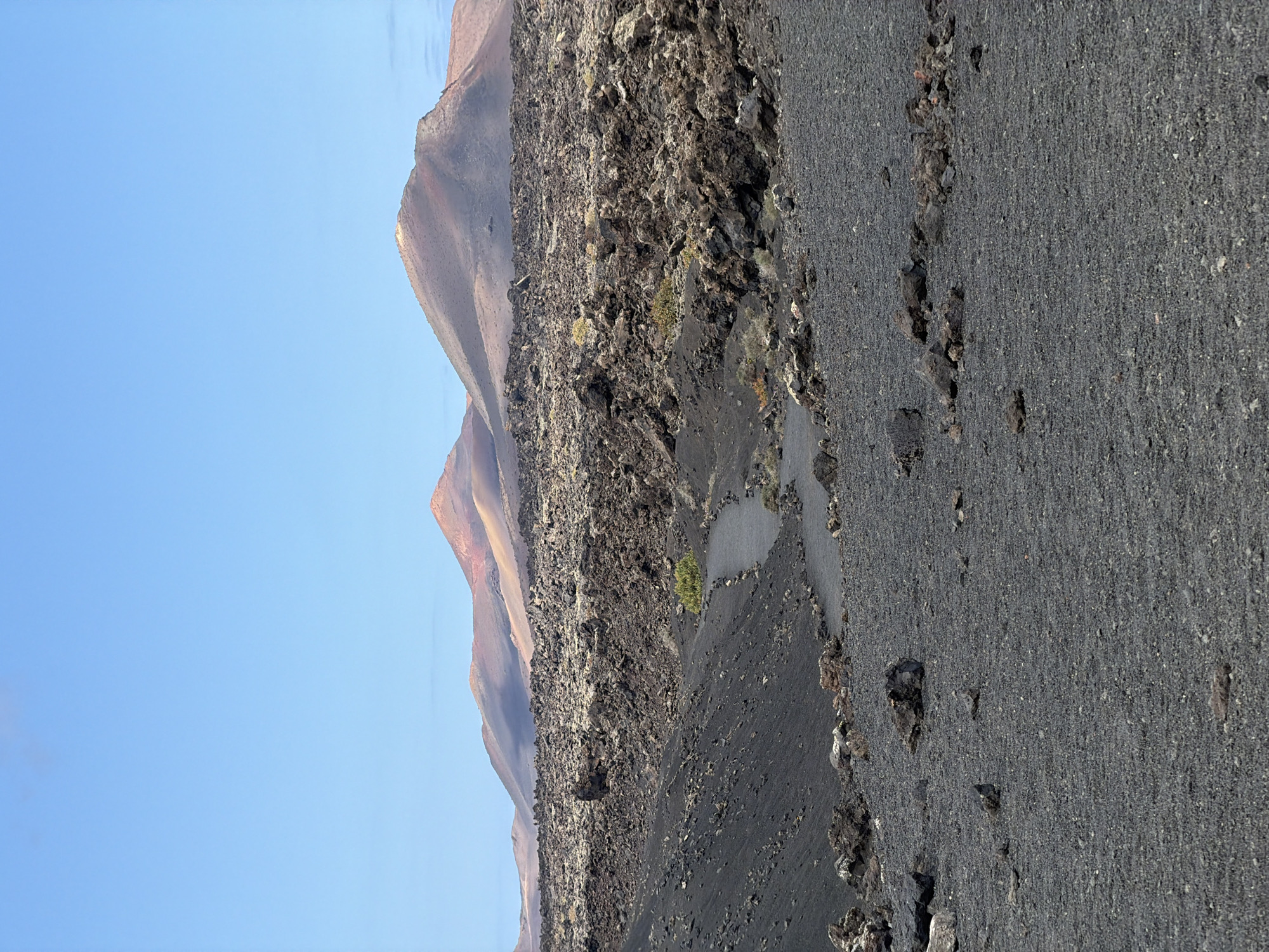 The image displays a vast and arid volcanic landscape under a clear, bright blue sky. The scene is dominated by dark, rugged terrain, characteristic of a volcanic region.
In the background, several volcanic mountains or hills rise, showcasing varying shades of earthy browns, reds, and oranges, with some appearing weathered and others stark. These hills gradually recede into the distance, suggesting a large expanse.
The foreground and mid-ground are covered in dark, granular volcanic rock and ash, presenting a textured, somber surface. A distinct, smoother path or track, also dark, appears to traverse the terrain on the right side of the image, potentially for vehicles or walking. Amidst the dark, barren rocks in the mid-ground, a solitary, vibrant green bush stands out, providing a striking contrast and a rare splash of life in the desolate environment. Other sparse, smaller patches of greenery are also visible.
The lighting suggests it is daytime, likely mid-morning or afternoon, with bright, even illumination and no clouds in the sky. The overall impression is one of stark, untamed natural beauty. No people or visible text are present in the image. Given the provided context, this landscape is characteristic of Tías, Spain, on the volcanic island of Lanzarote.