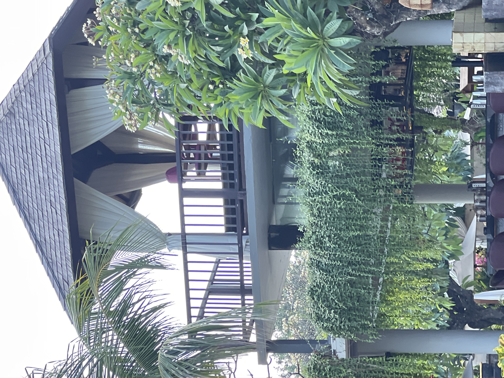 This image depicts an outdoor elevated gazebo with a thatched roof, surrounded by lush tropical foliage. The gazebo features white curtains that partially obscure the interior, where a red chair is visible. A wooden railing encloses a balcony area. Below the gazebo, a second level appears to be a bar or seating area, adorned with hanging green plants. In the background, trees, umbrellas, and more foliage suggest a resort or restaurant setting in a tropical location. The image does not contain any people or discernible actions. The scene is likely in Kuta, Indonesia, known for its beach resorts and vibrant atmosphere.