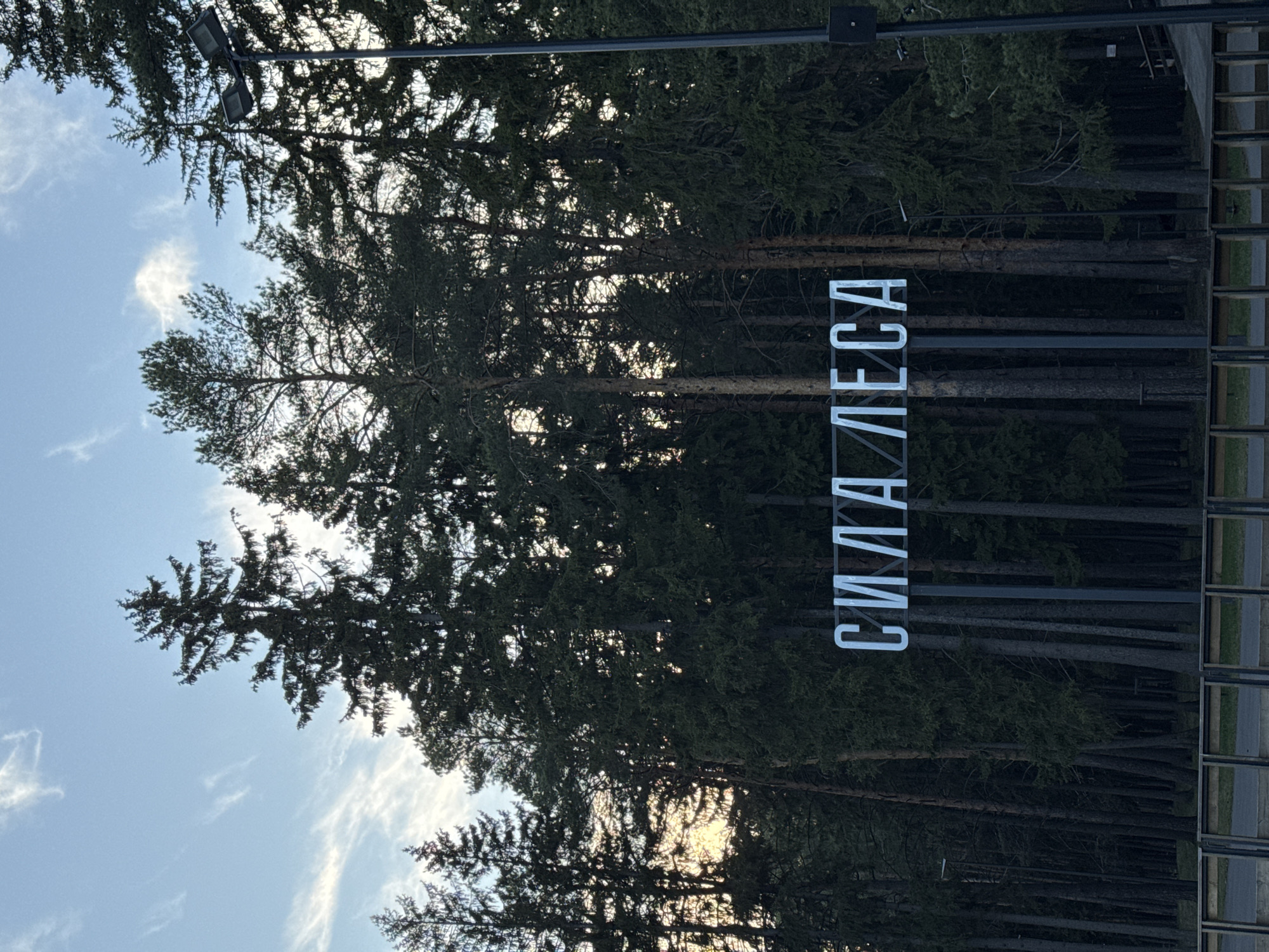 The image shows a sign that reads "СИЛА ЛЕСА" (SILA LESA, "The Power of the Forest" in English) standing in front of a forest of tall, thin trees. The sign is in white block letters, and the background consists of a dense pine forest with a sky with clouds. The location is Votkinsk, Russia. A lamppost can be seen in the upper left of the image.